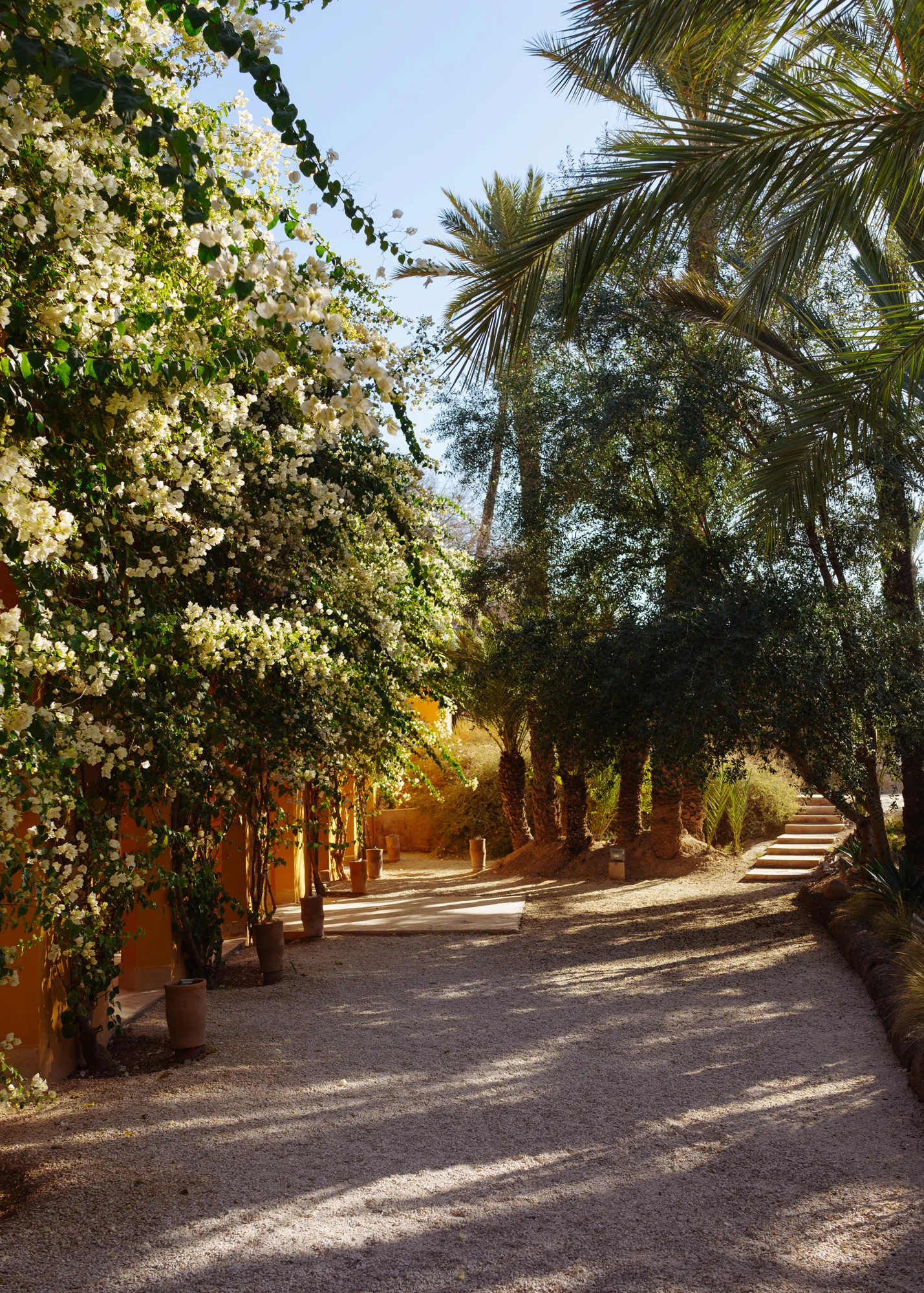 Morocco 215-2016-11.jpg
