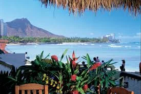 the Hot Club of San Francisco in Honolulu, HI 