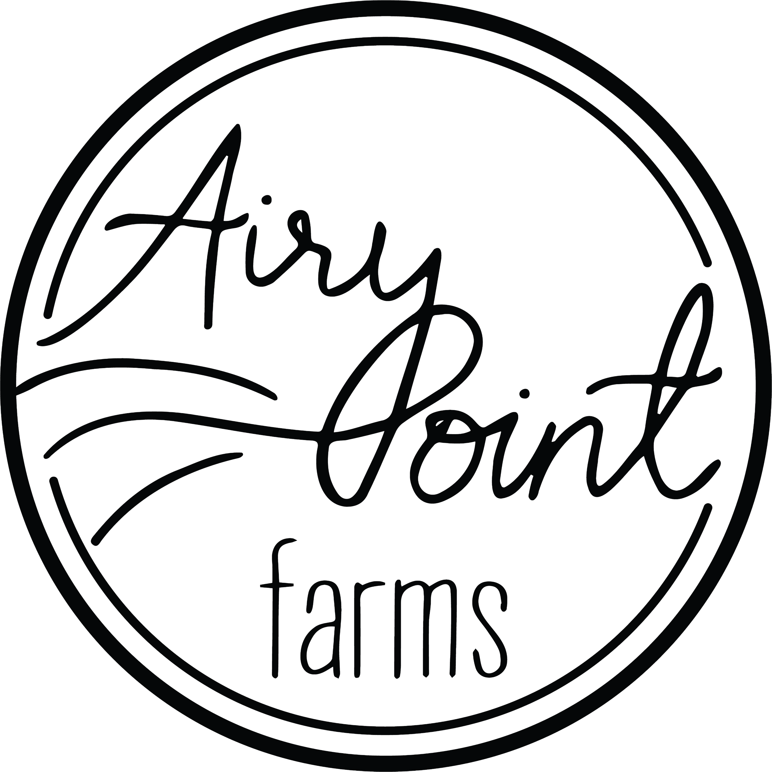 airy-point-farms-logo.png