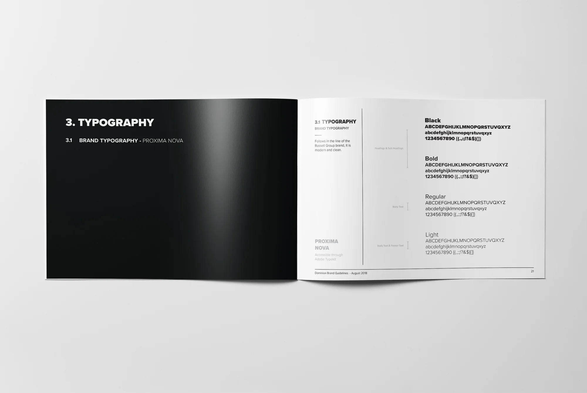 DCL-Brand-Guidelines-Mock-up-2.jpg