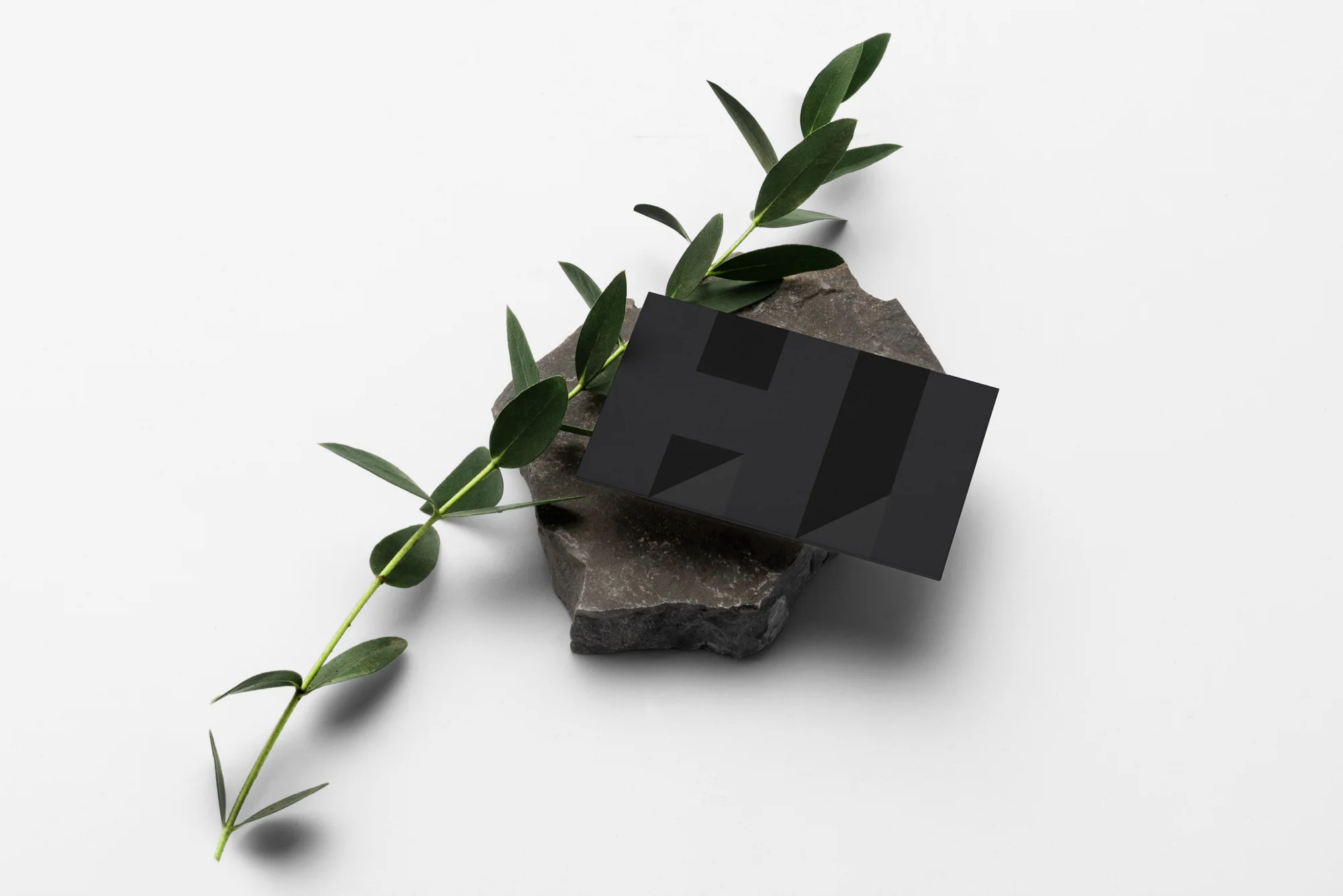 Pure-branding-mockup-BC.jpg
