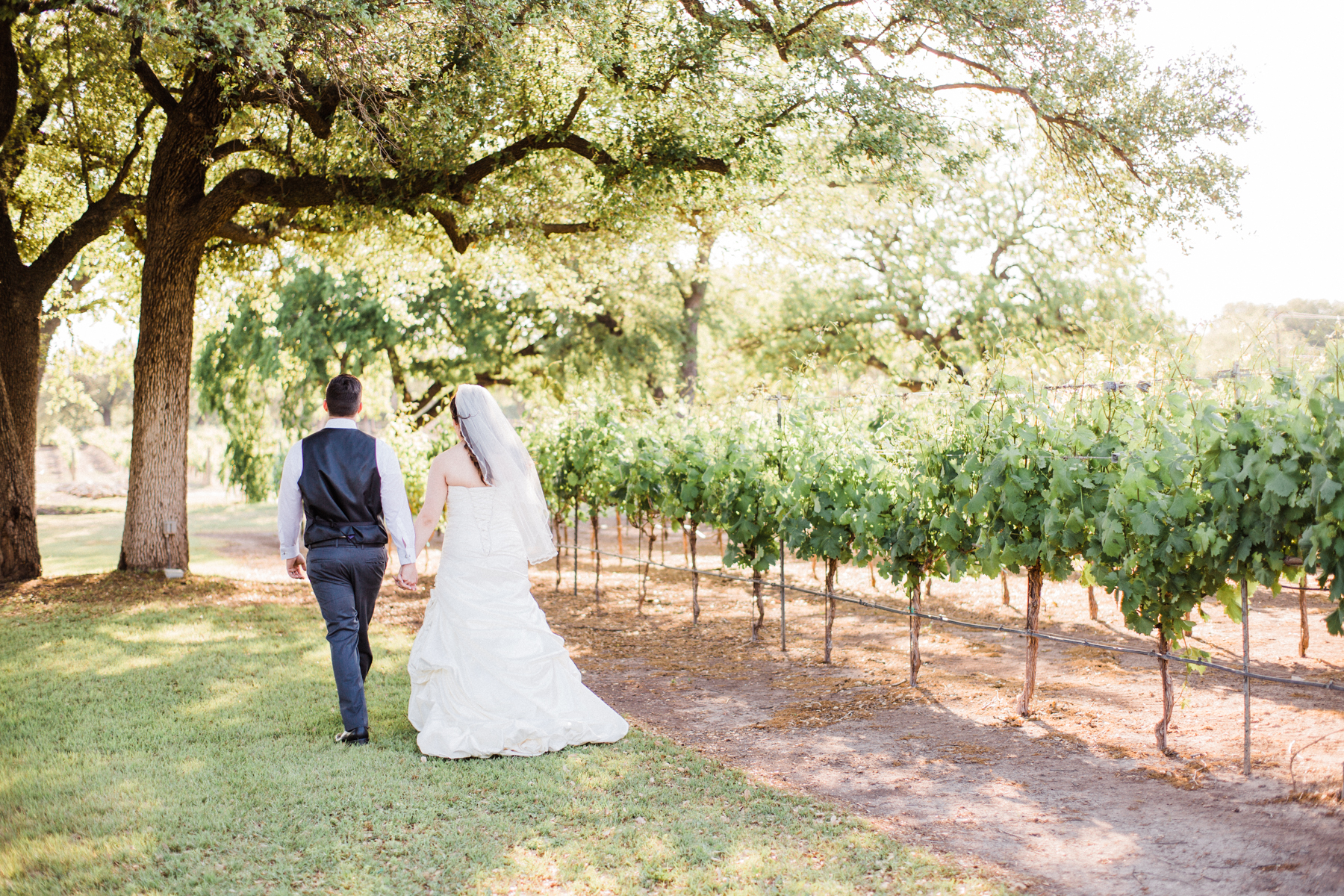 christoval vinyards wedding photographer-28.jpg