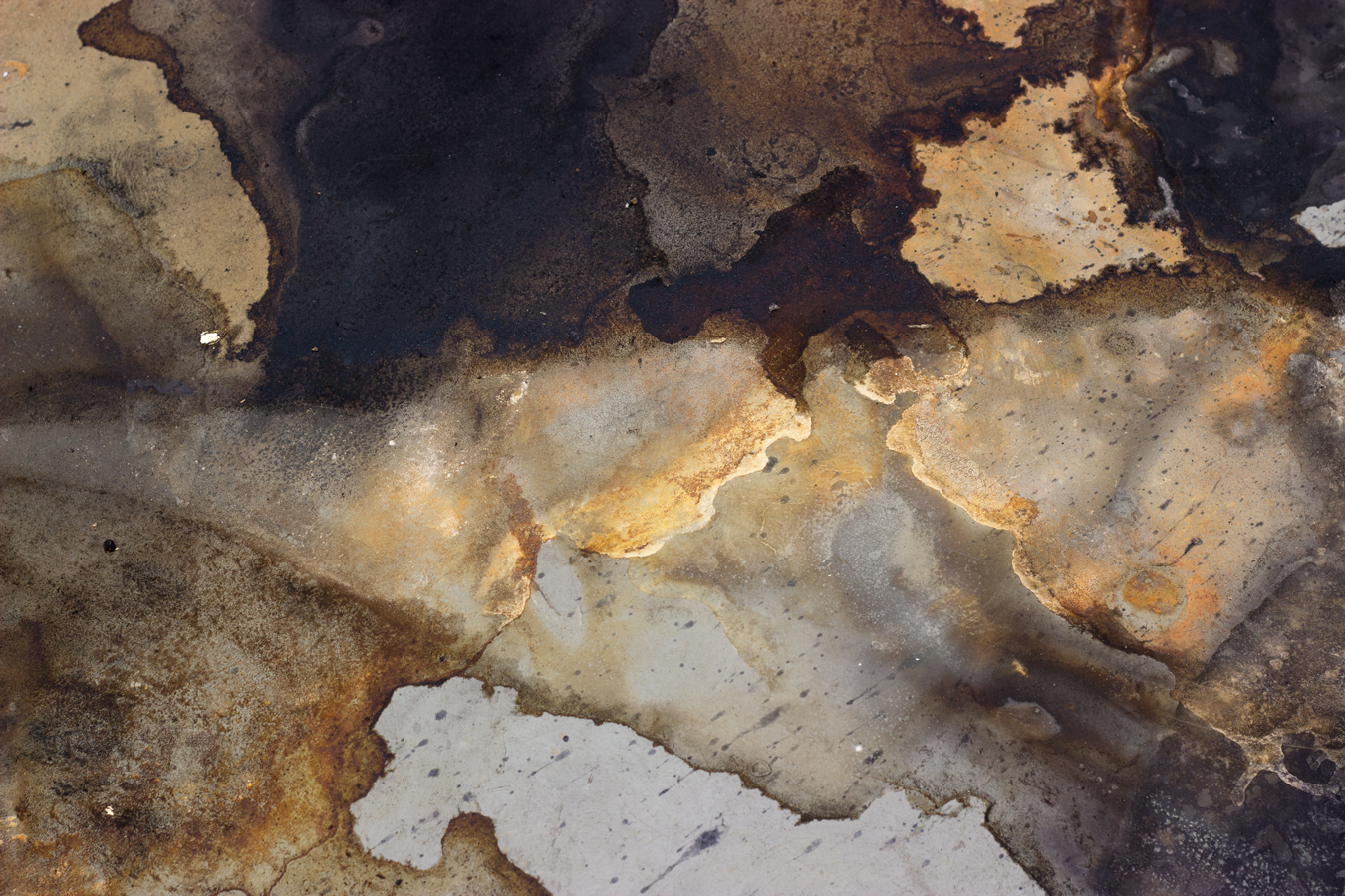 Oak gall ink, rust 2016