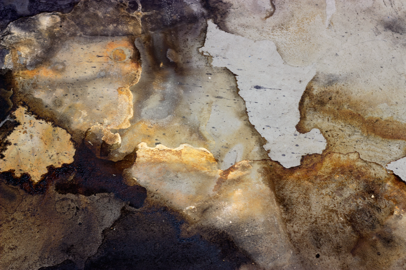 Oak gall ink, rust 2016