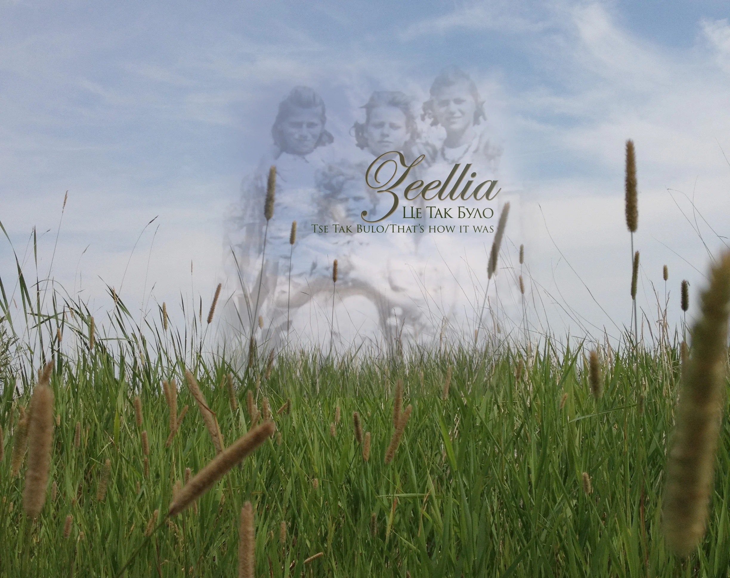 Zeellia_banner.jpg