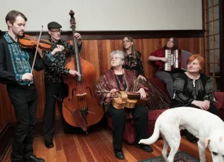 Zl dog in corner 2.jpeg