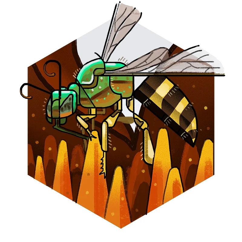 agapostemon2.jpg
