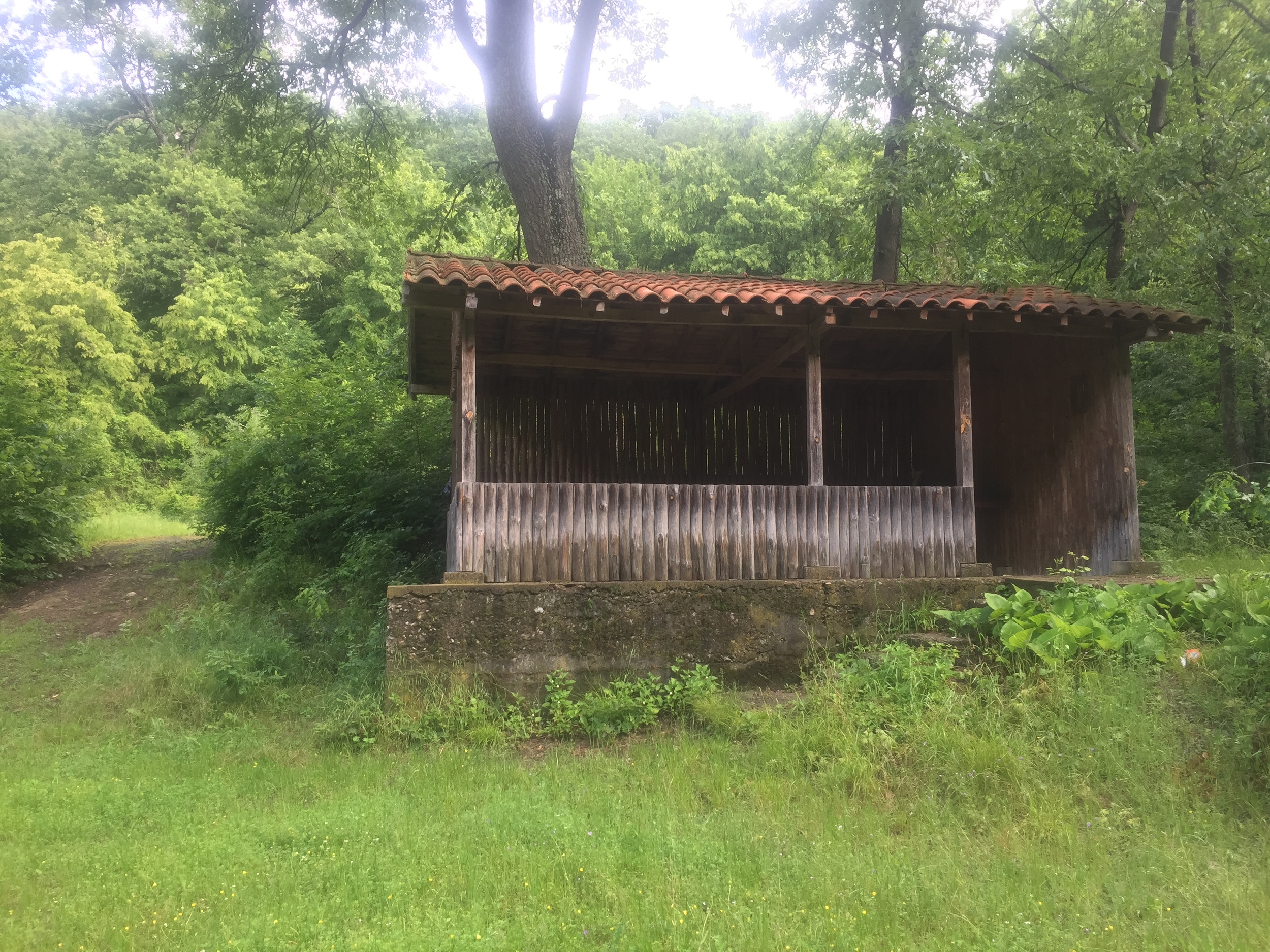 A "mini hut" that I slept in.
