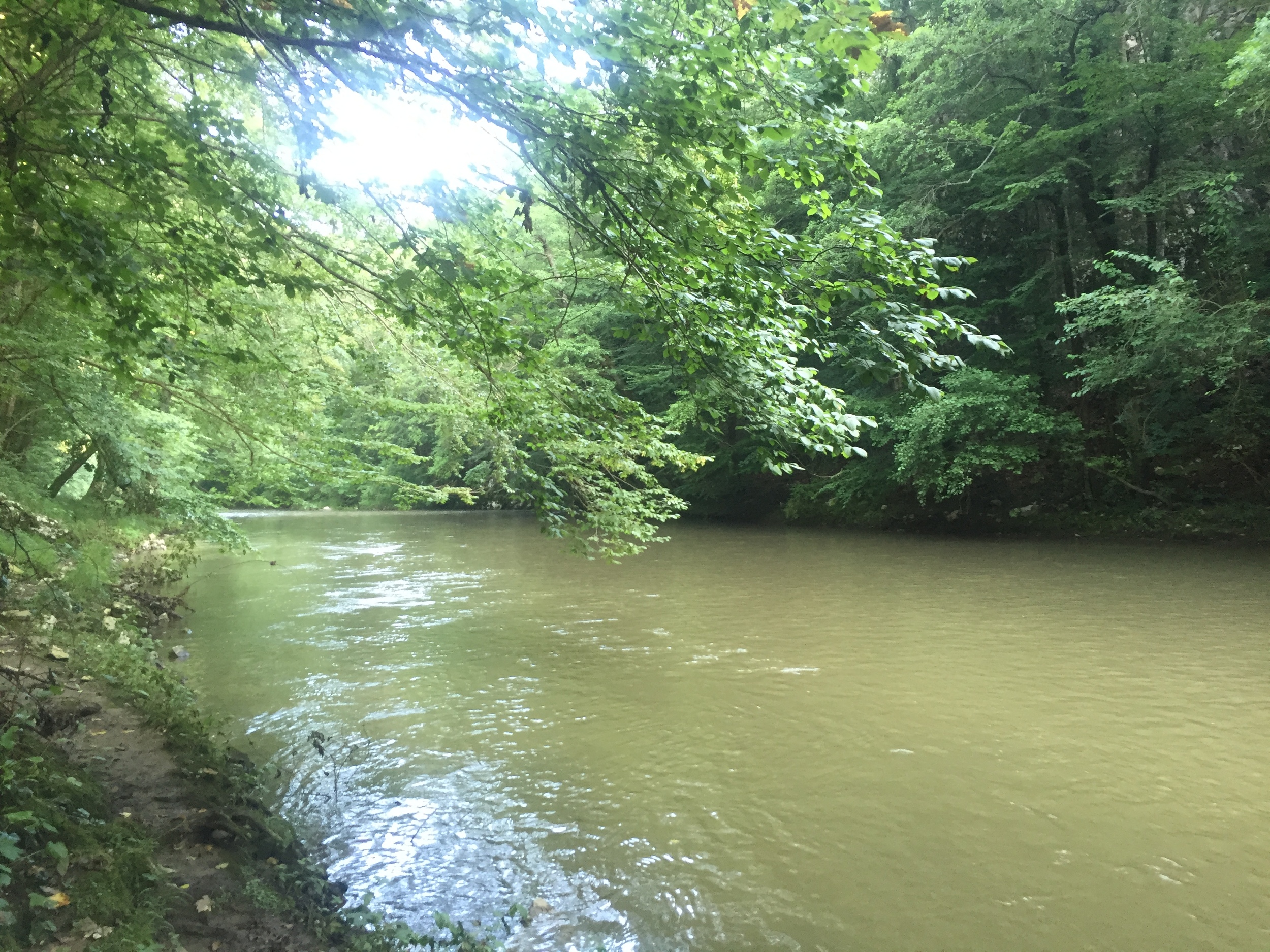 River walks.
