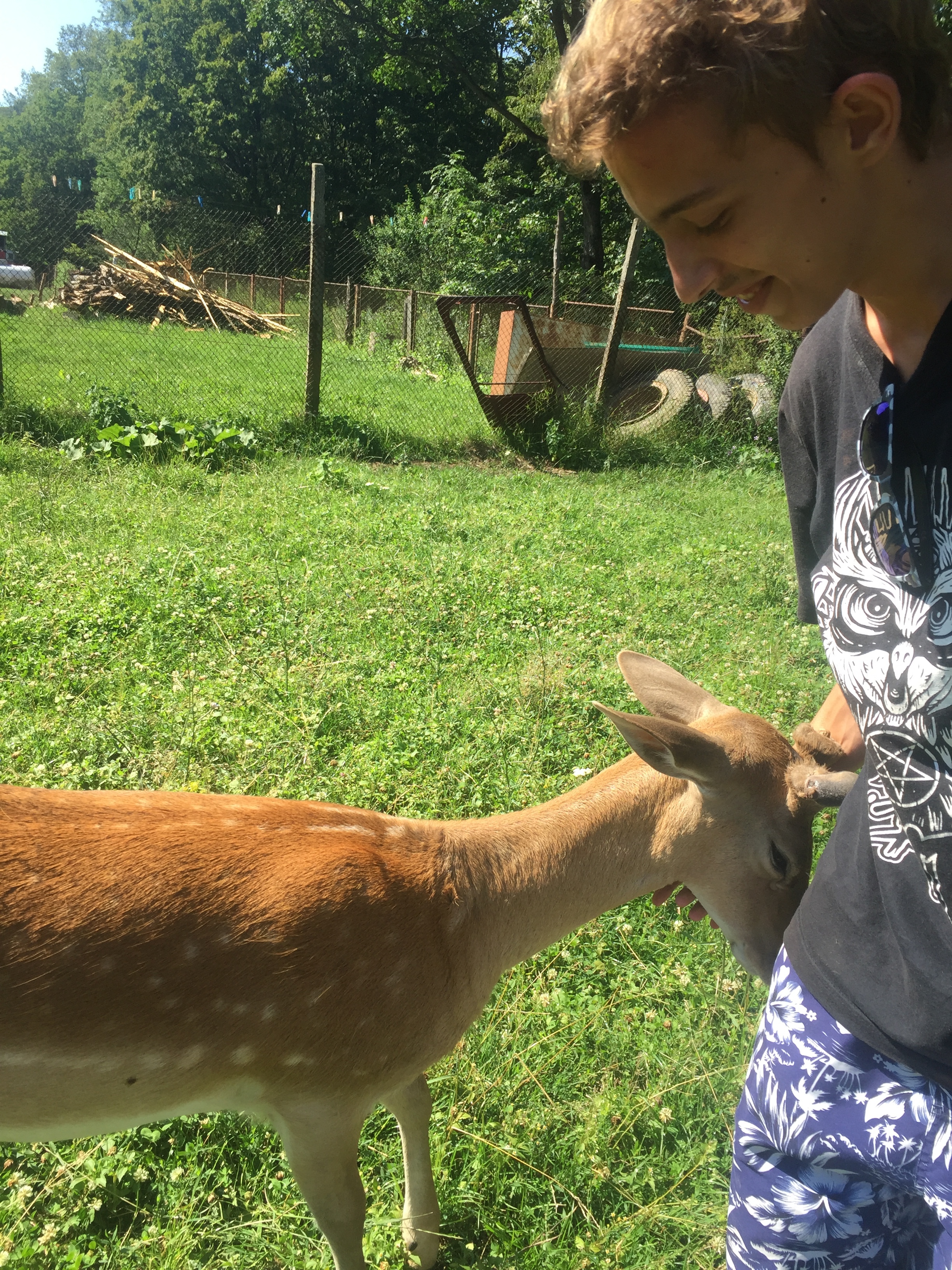 A boy and his stag.