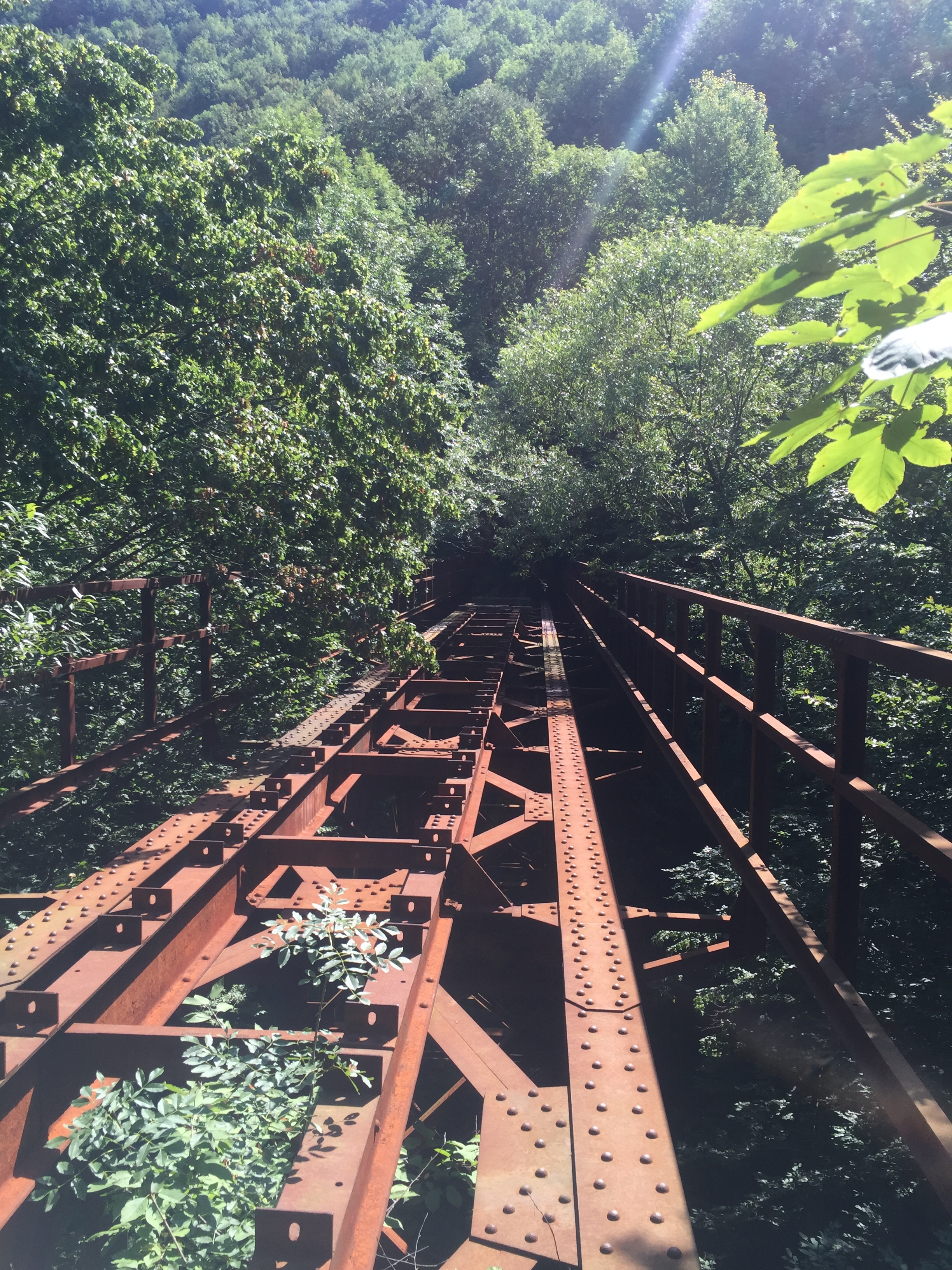 This bridge is about 20 meters above the river. No false moves here!