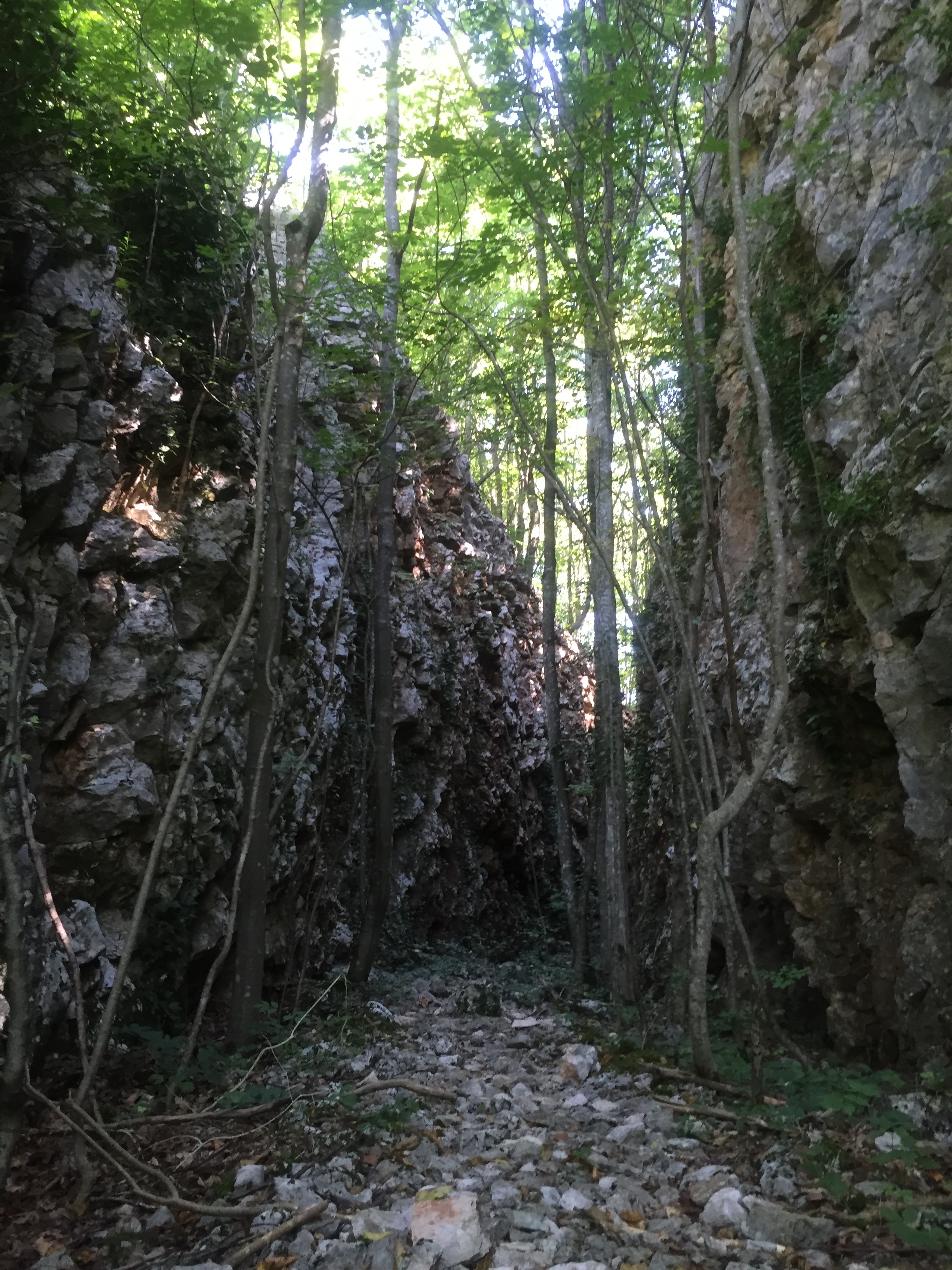 Rock walls along the trail.