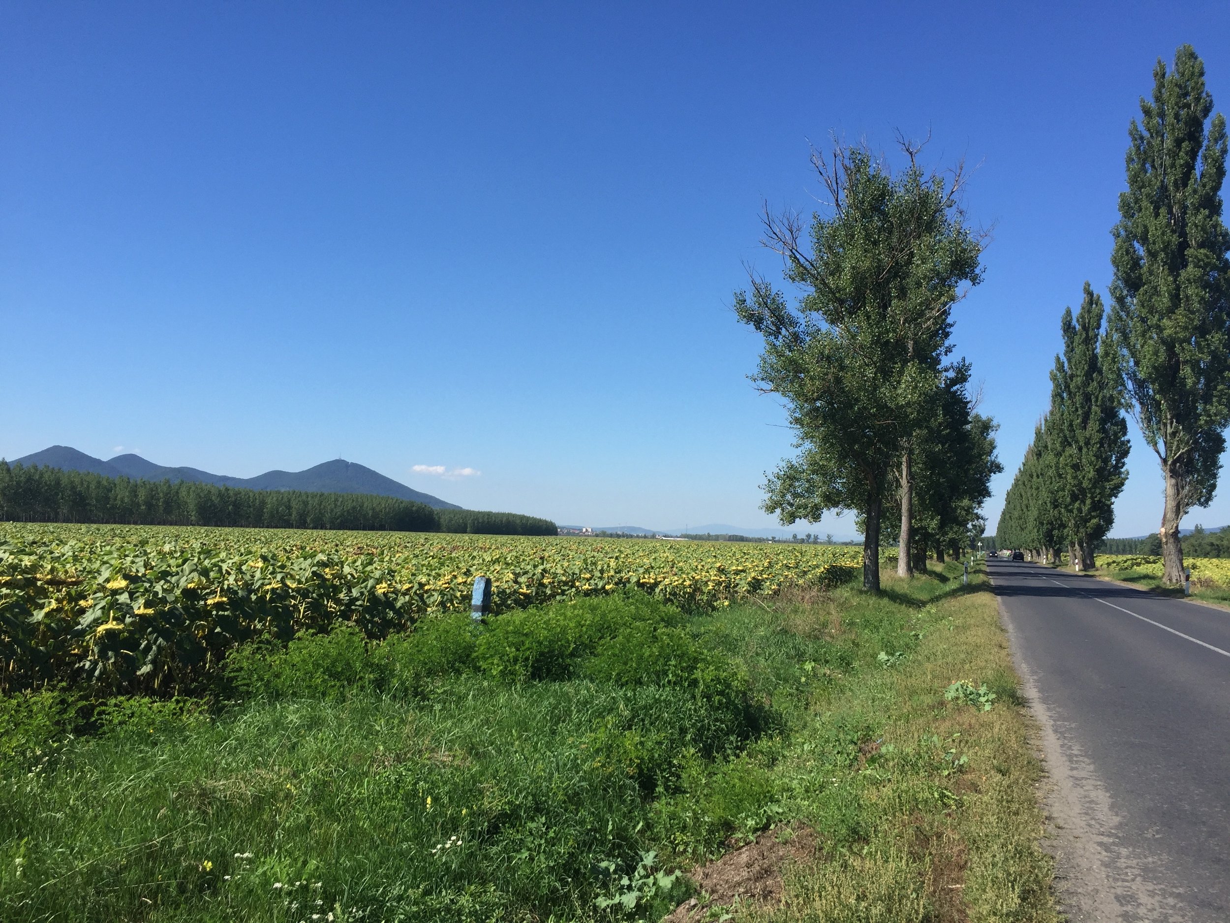 You only get to the mountains once you reach the Slovakian border.