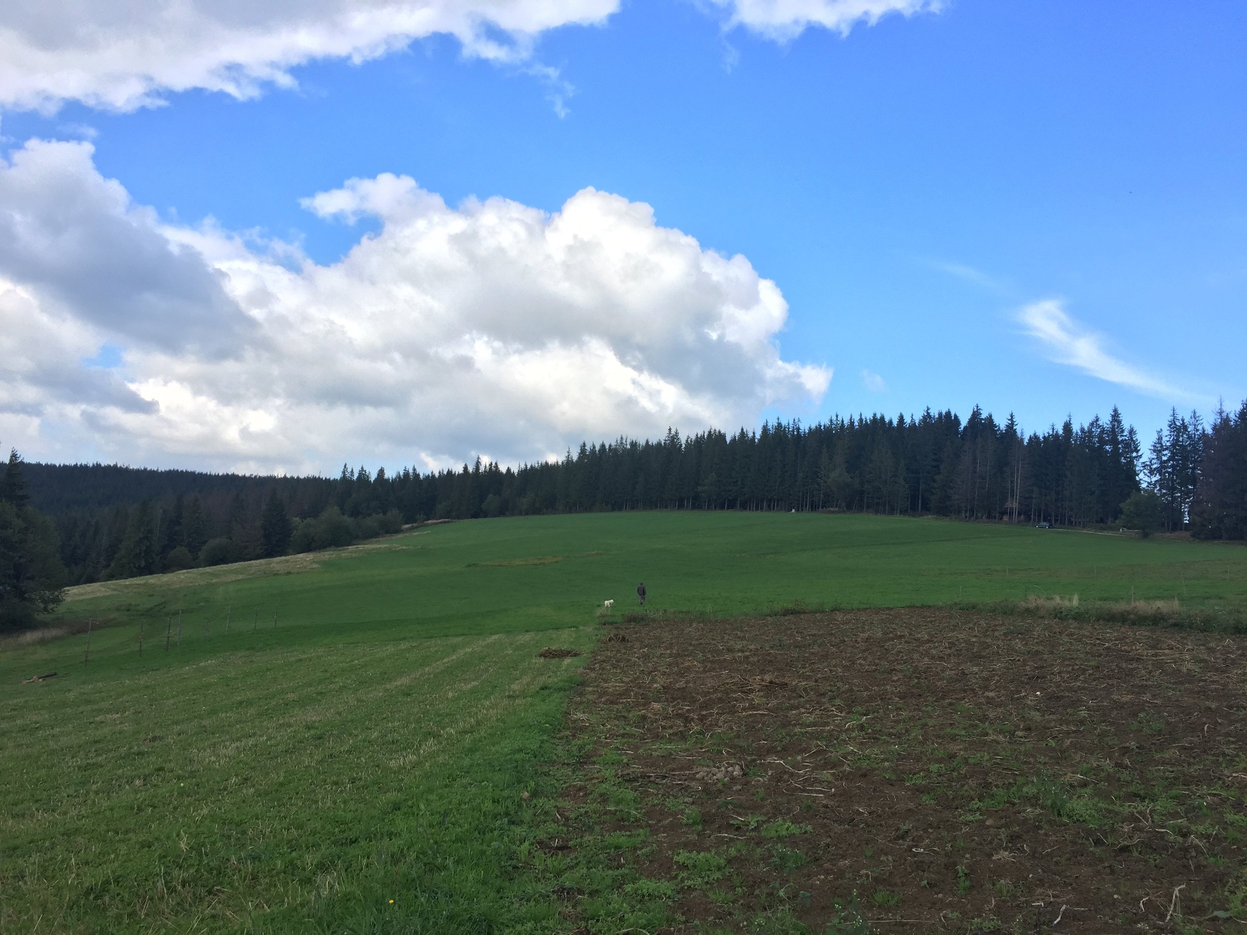 Working the land in Poland.