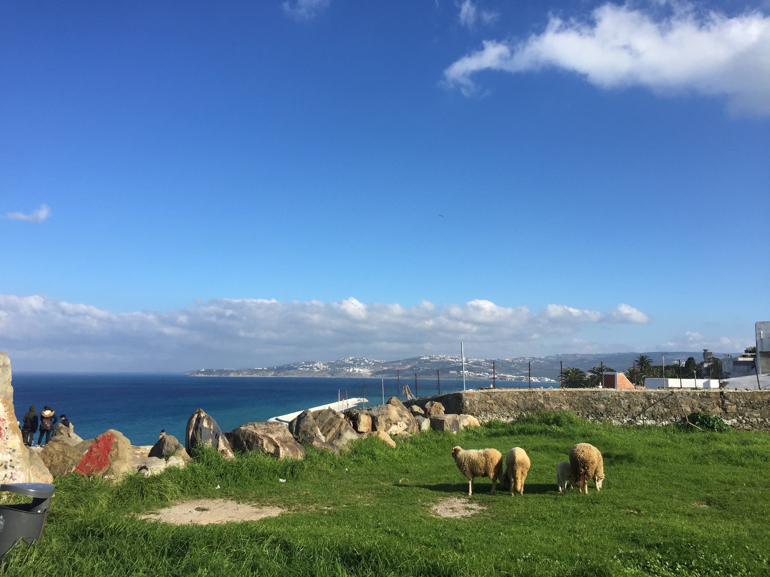 At least the weather is warmer in Morocco. (Tangier).