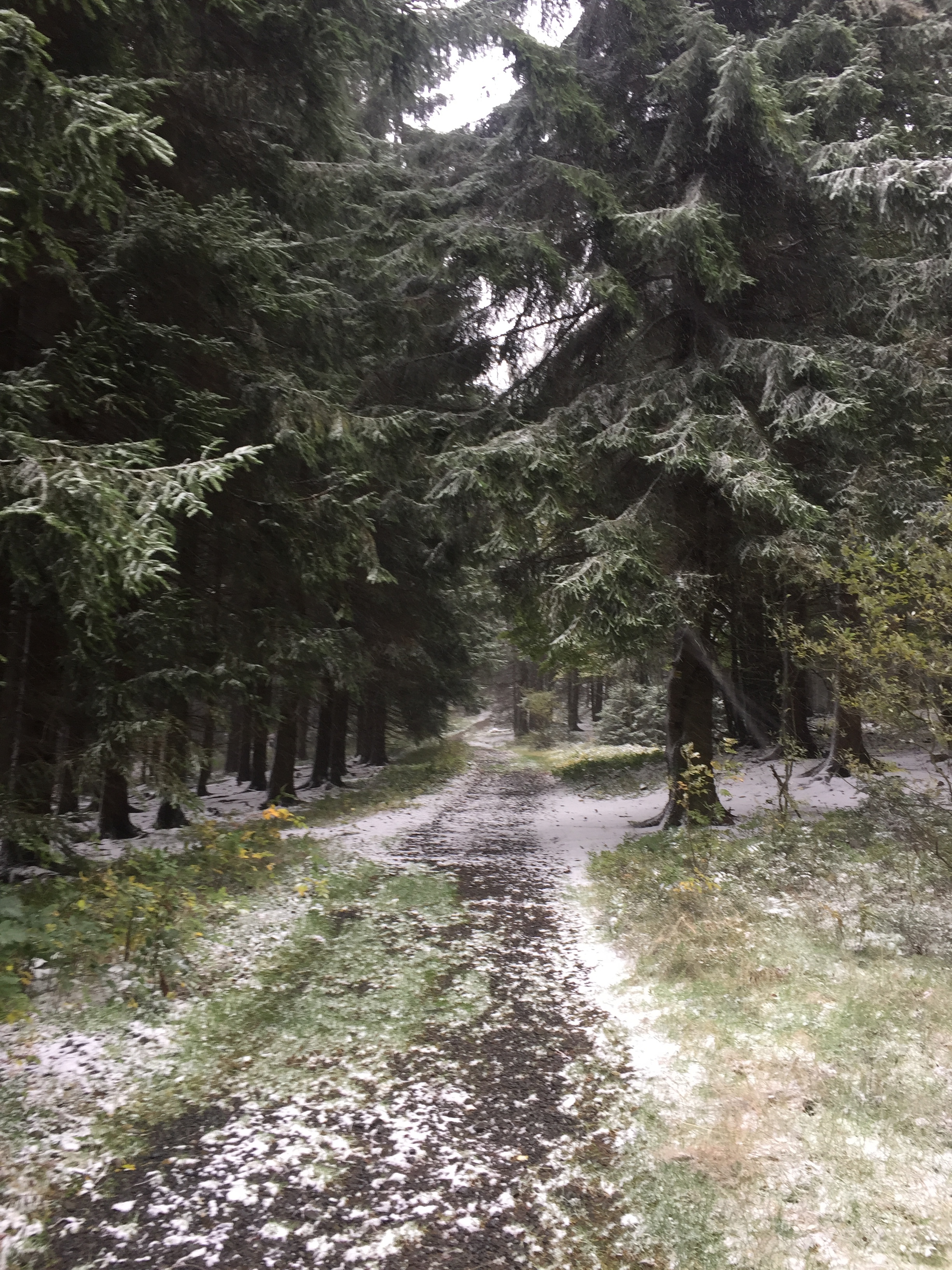 The snow is starting...