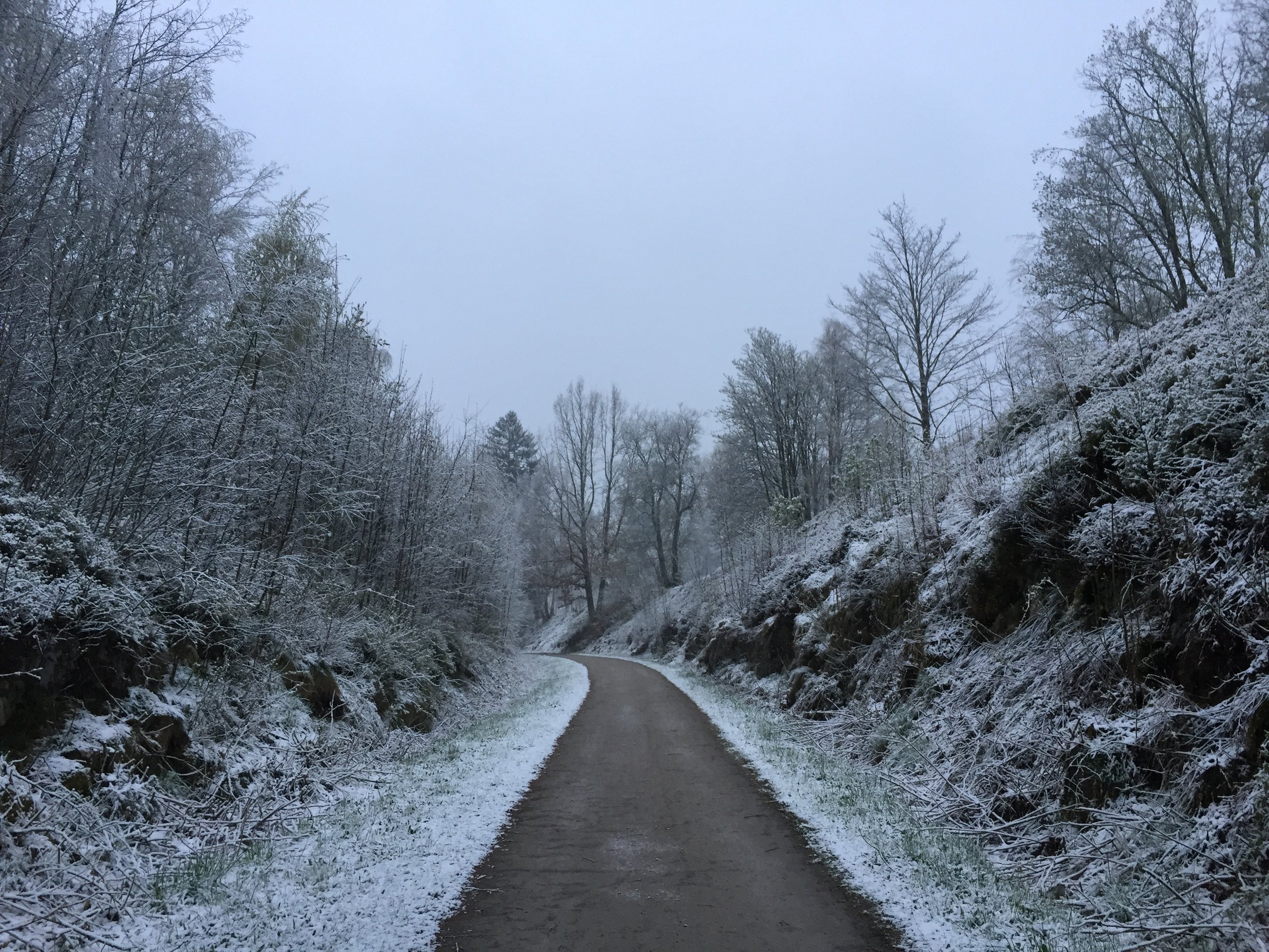 The beginning of a snow day...
