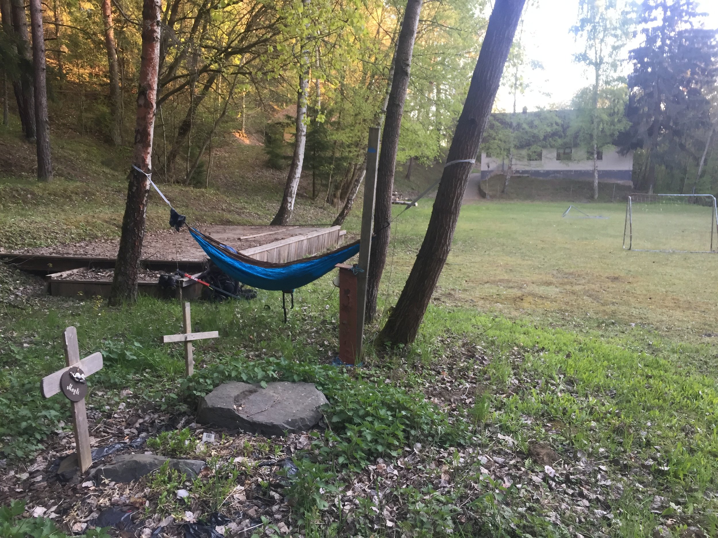 Sleeping next to kitty graves.