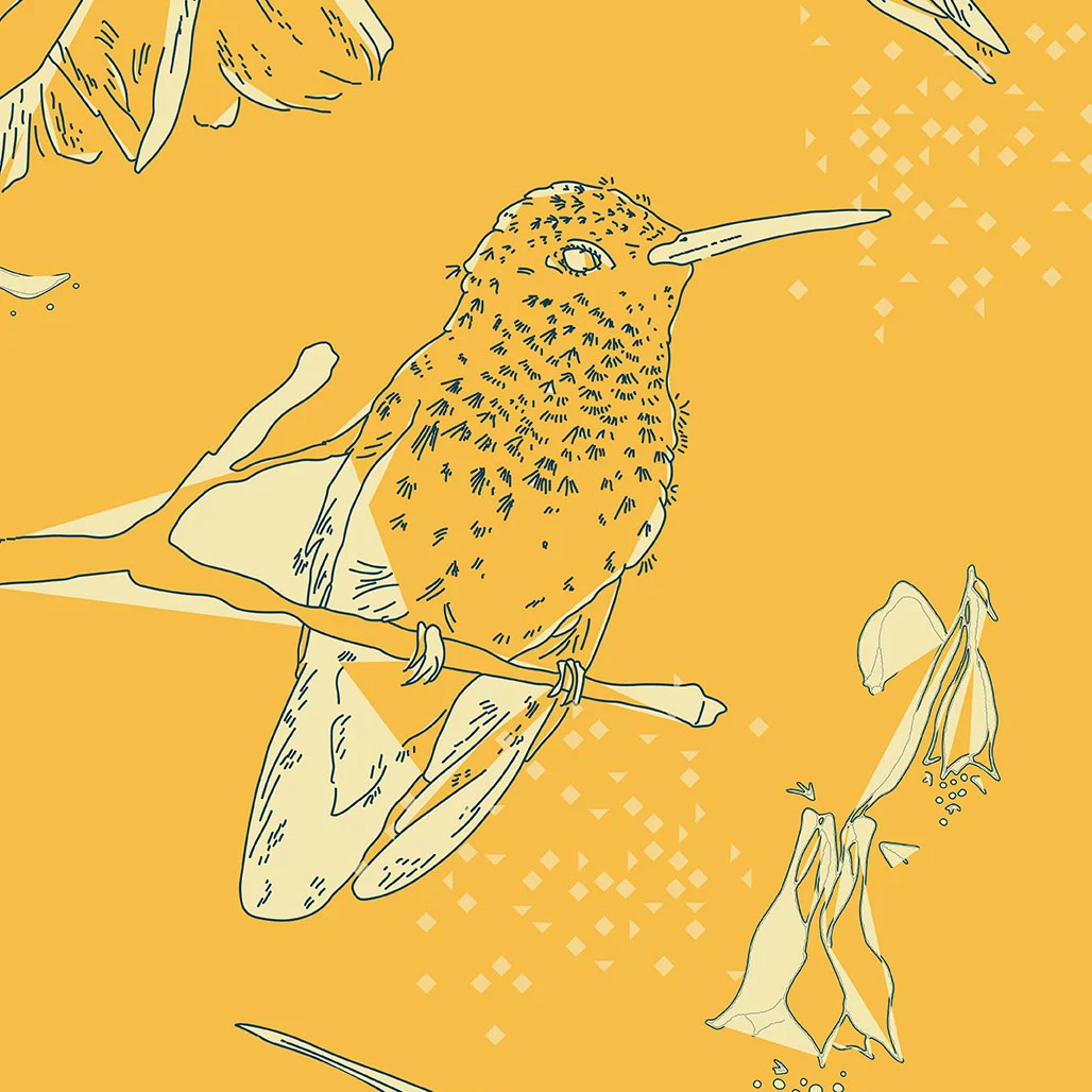 cream on yellow crop.jpg