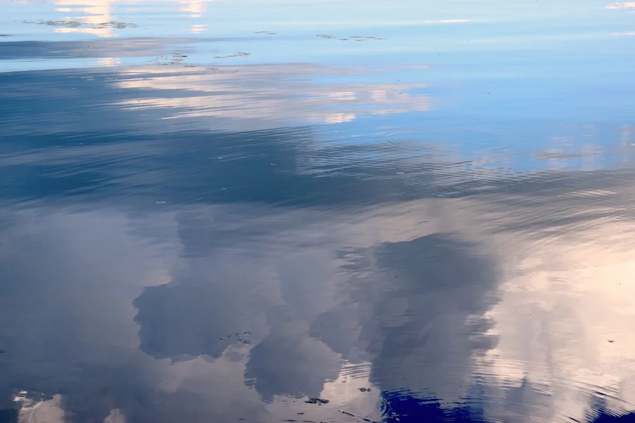 The above photograph is new work from my current project, Limnology.