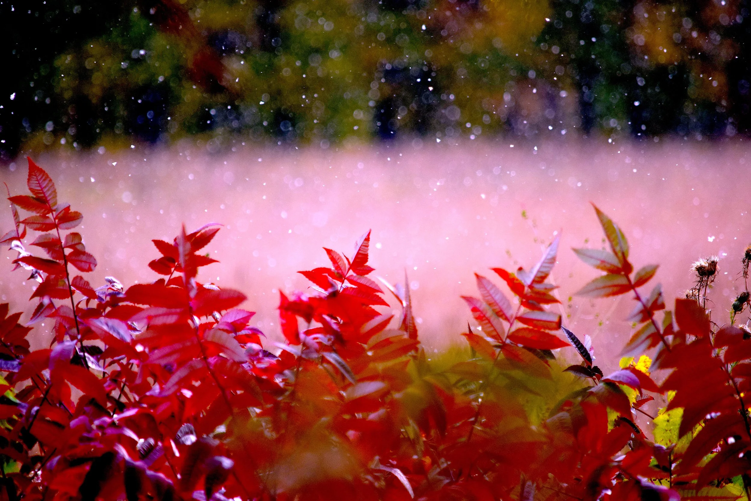 Caroline Knickmeier_Between_Text-ure 2.jpeg