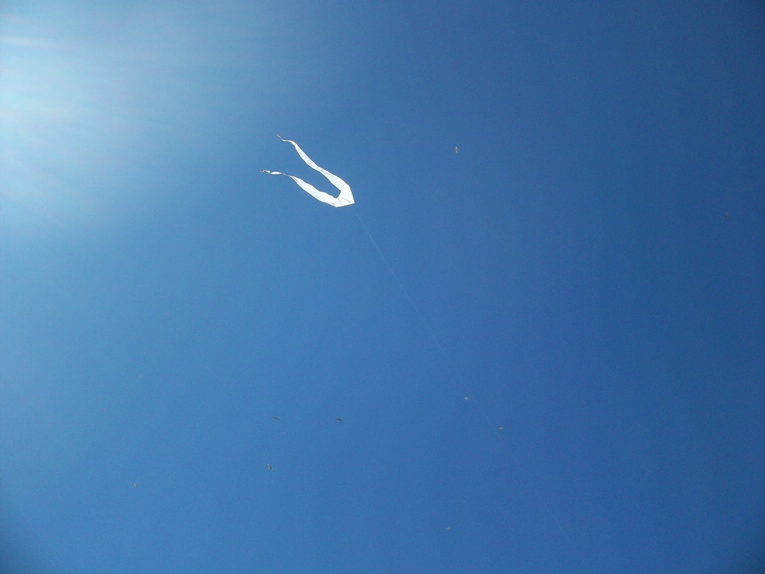 AngelKite5.JPG