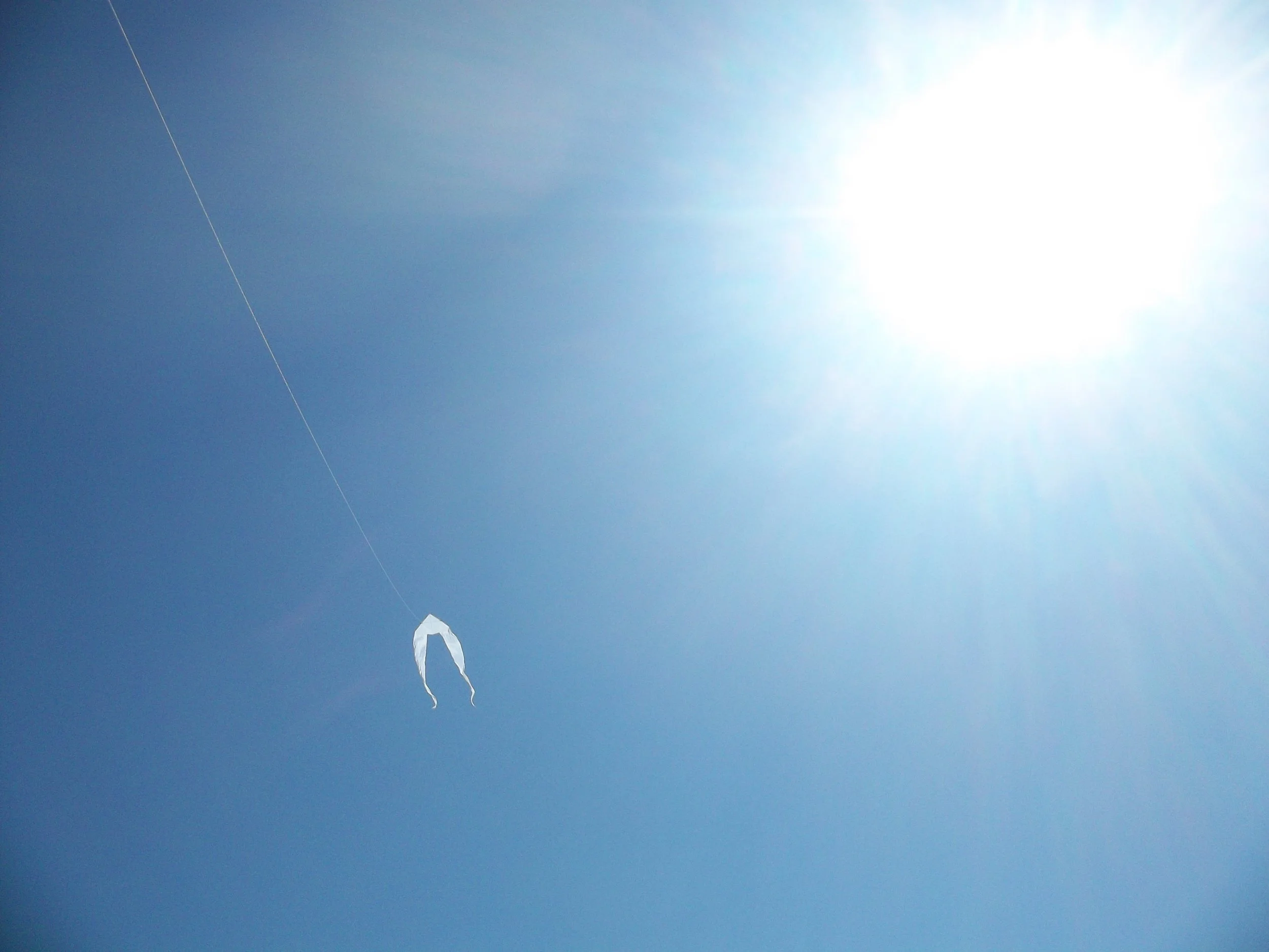 AngelKite6.JPG
