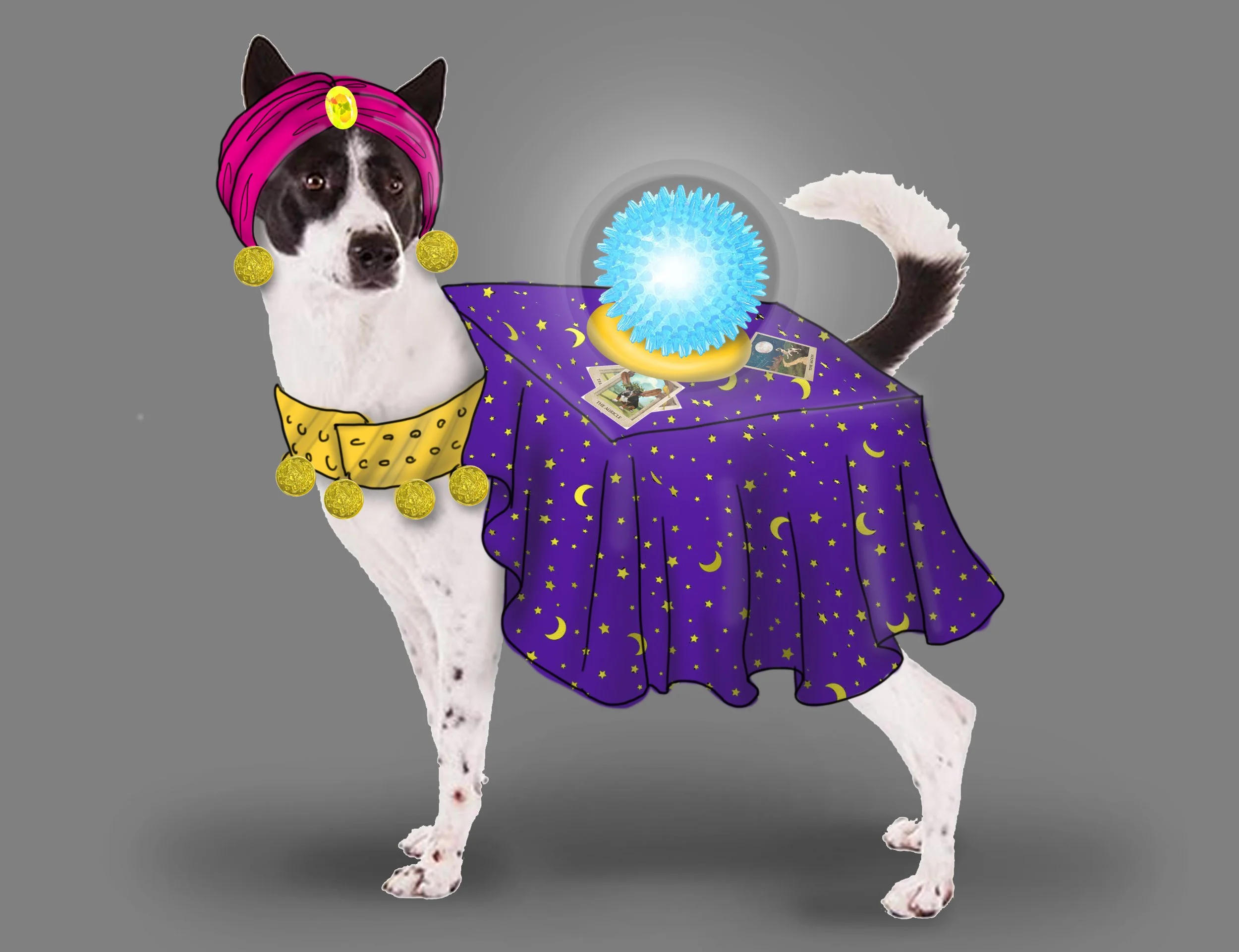 madame bita.jpg