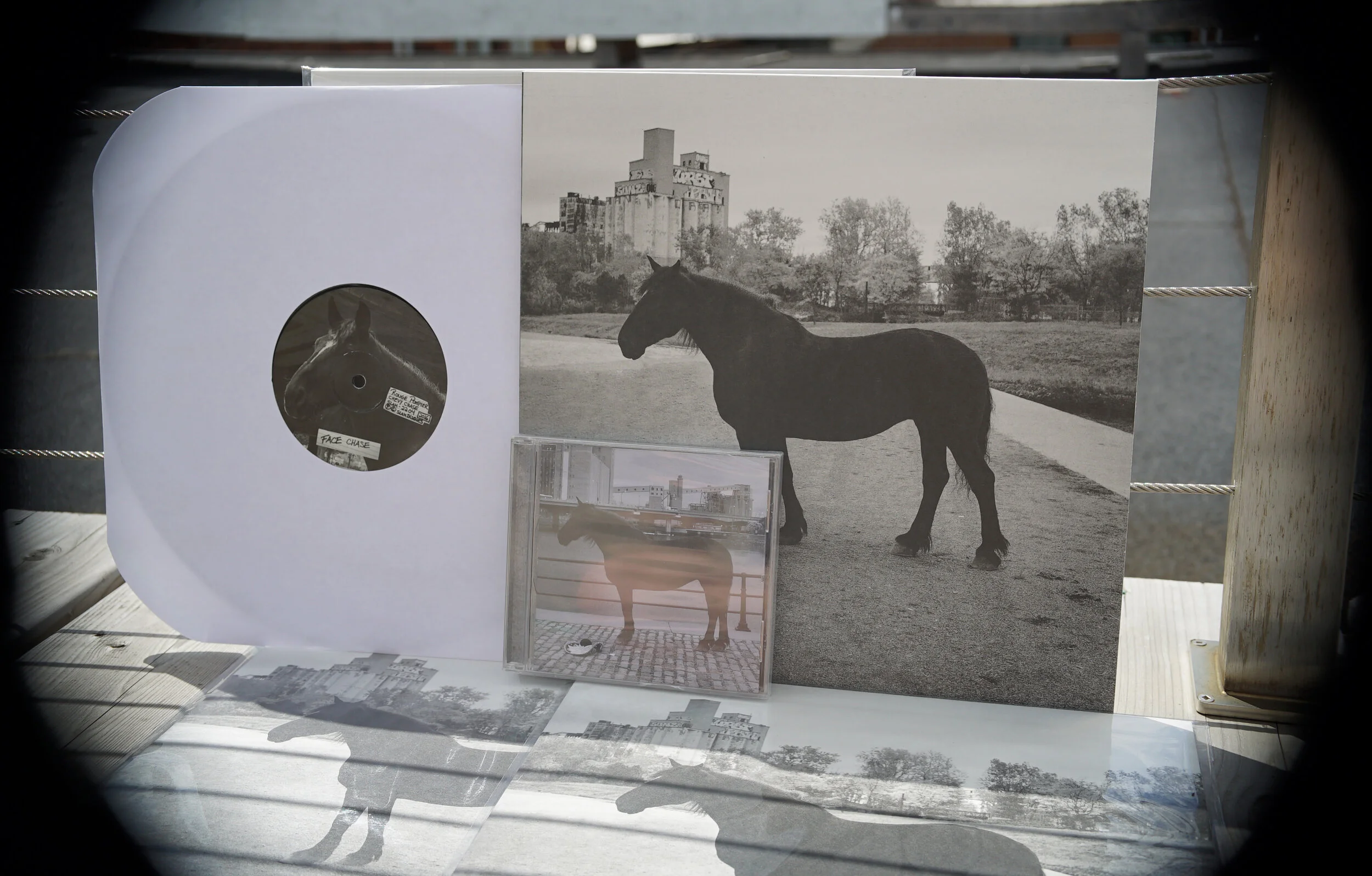 Chevy chase vinyle.jpg