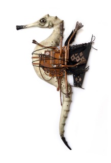 Pipefish by Kaitlin Beckett