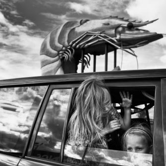 The Arrival 2016 by Natalie Grono