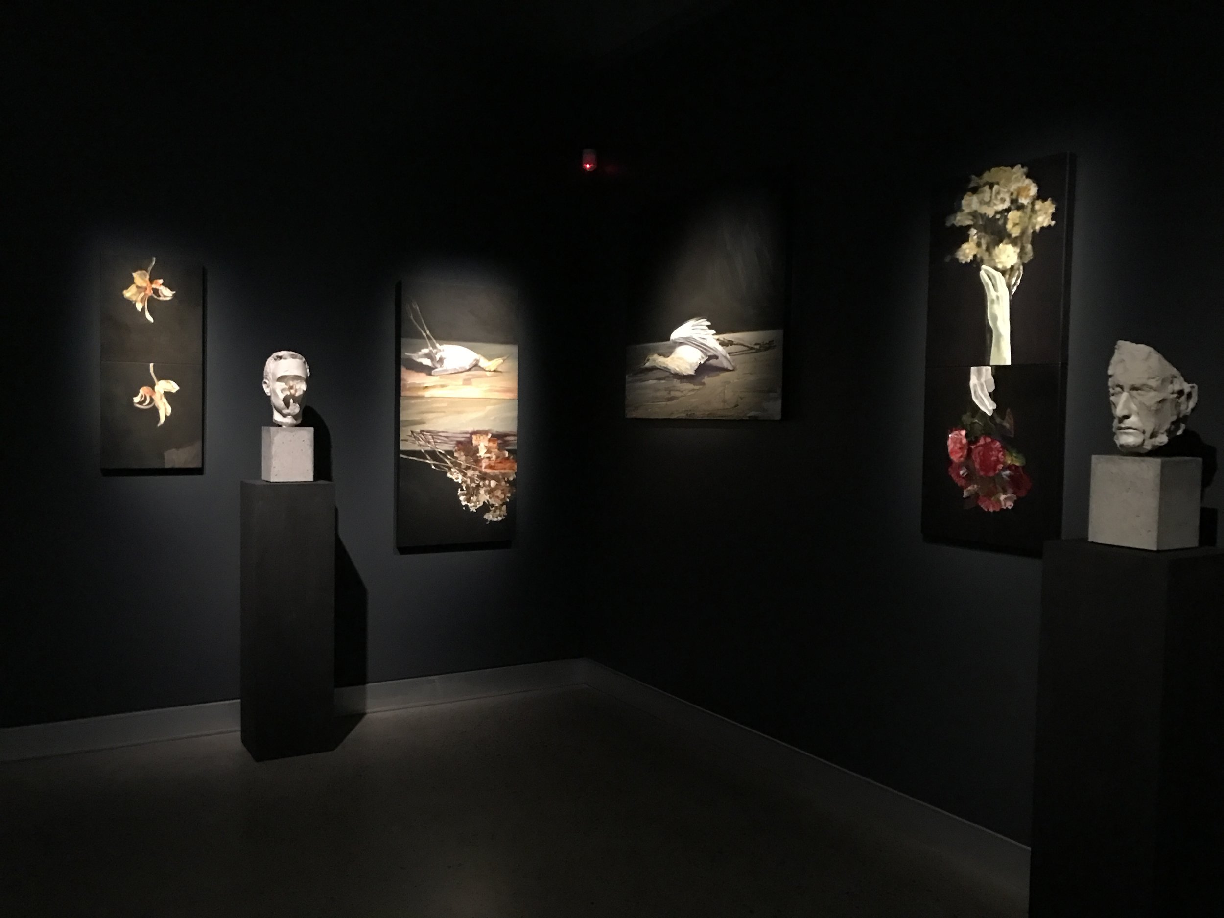 Echo installation. Courtesy of the artist and Jan Murphy Gallery, Brisbane.