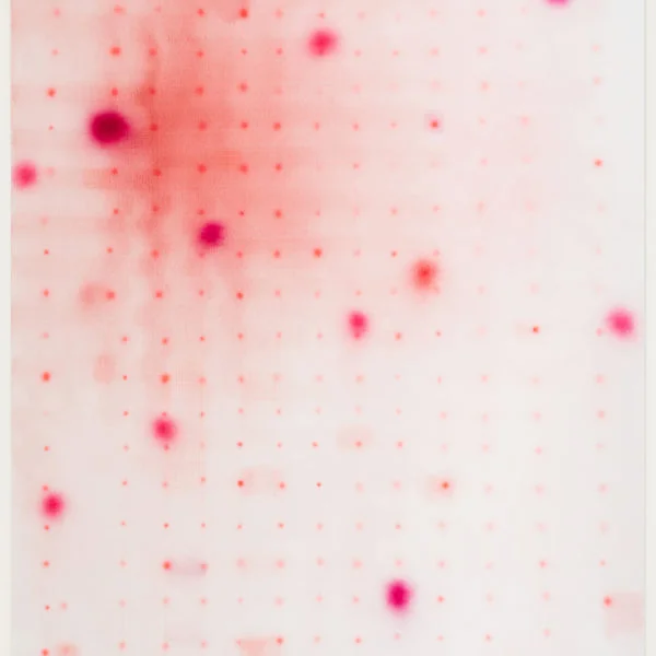 Field , 2018, mixed media on linen, 198 x 153 cm