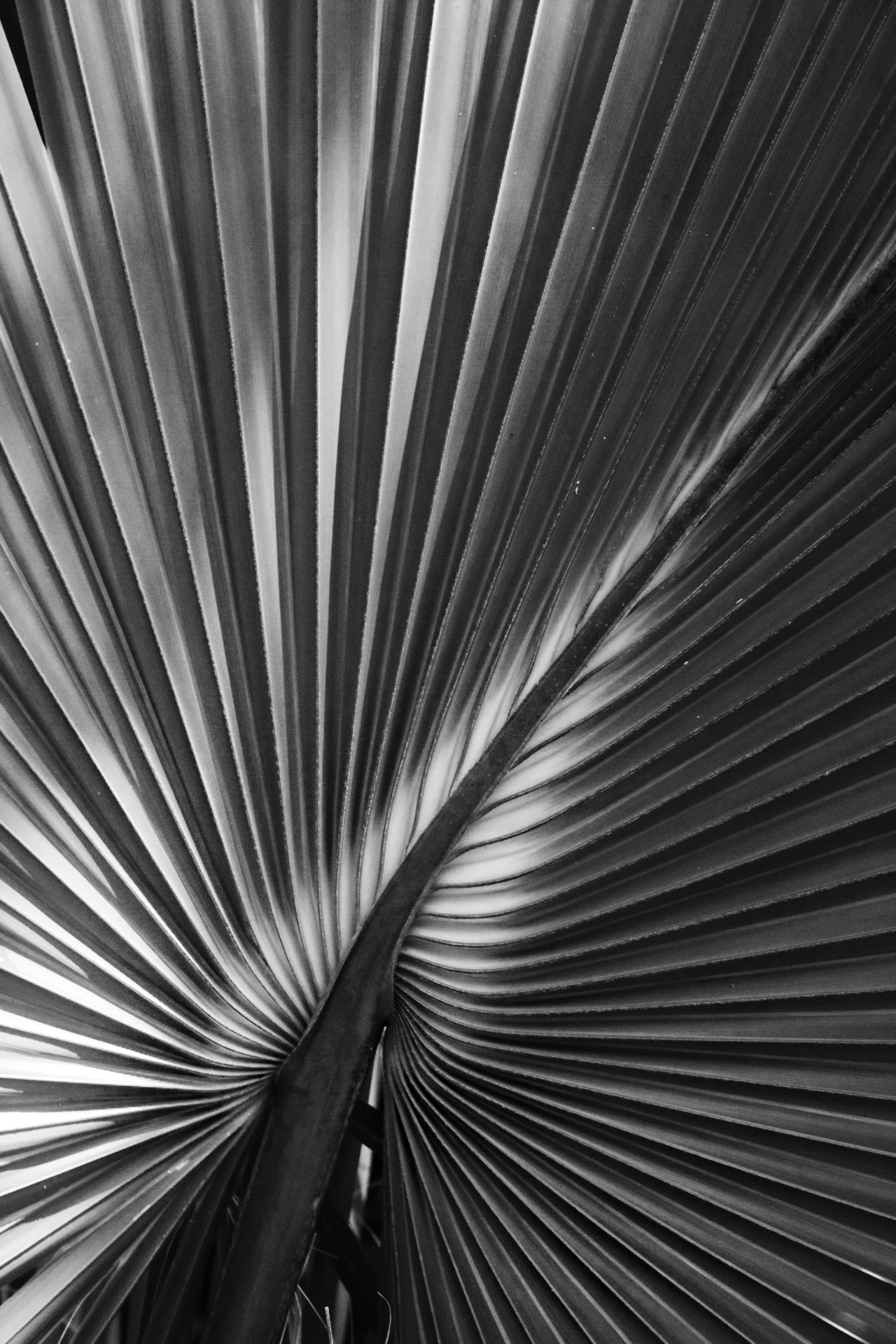 2DD334B5-91E7-4482-A9FE-7A55836A192D.jpeg