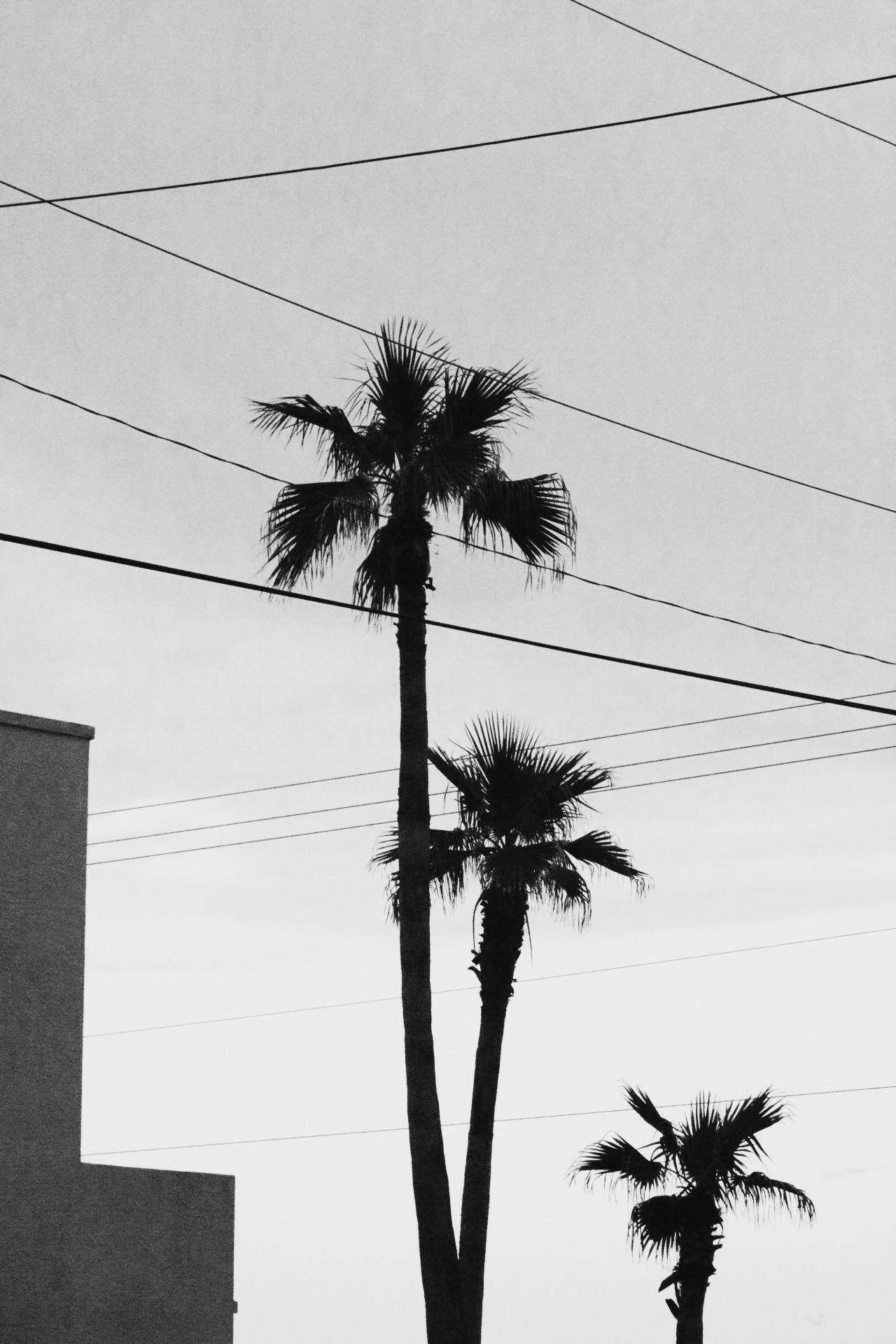 79F7F790-55DA-4288-9FF2-B40F9EF316A8.jpeg