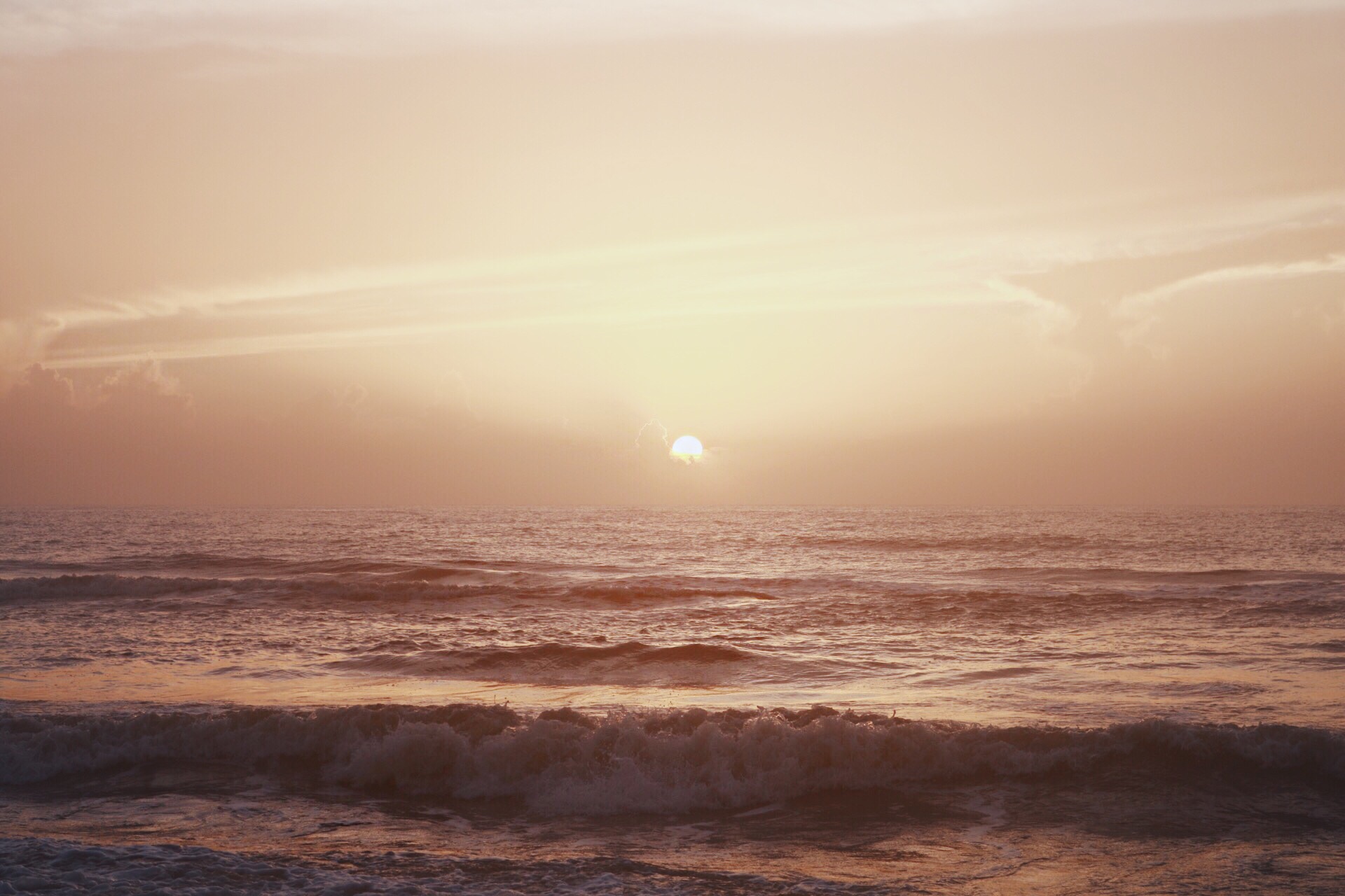 751CD500-9AEE-455B-AE32-B920C6F8F3C9.jpeg