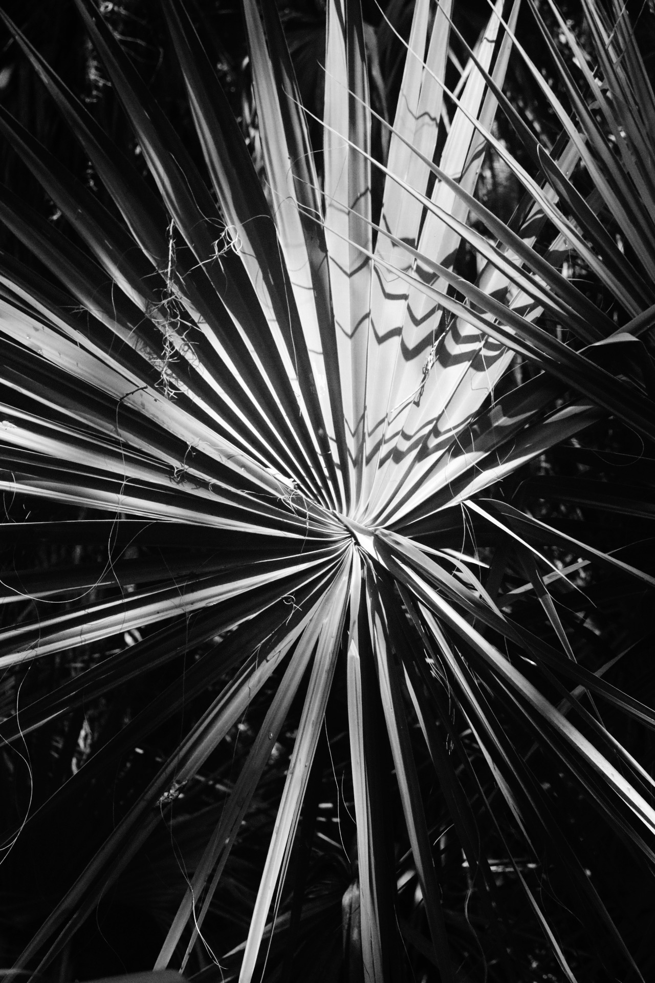22165B89-3CF7-48F8-80AE-4B1536DA42C4.jpeg