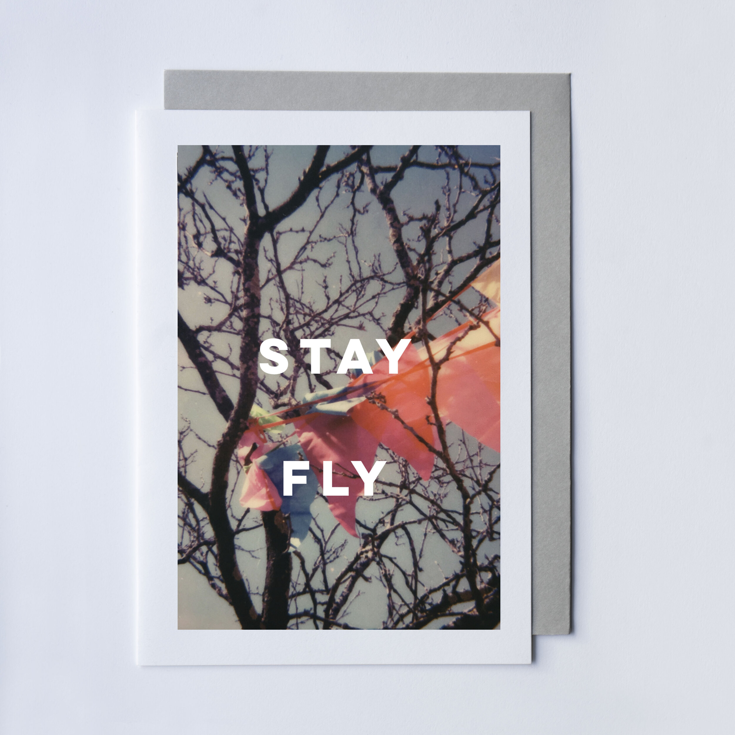 stayfly.jpg