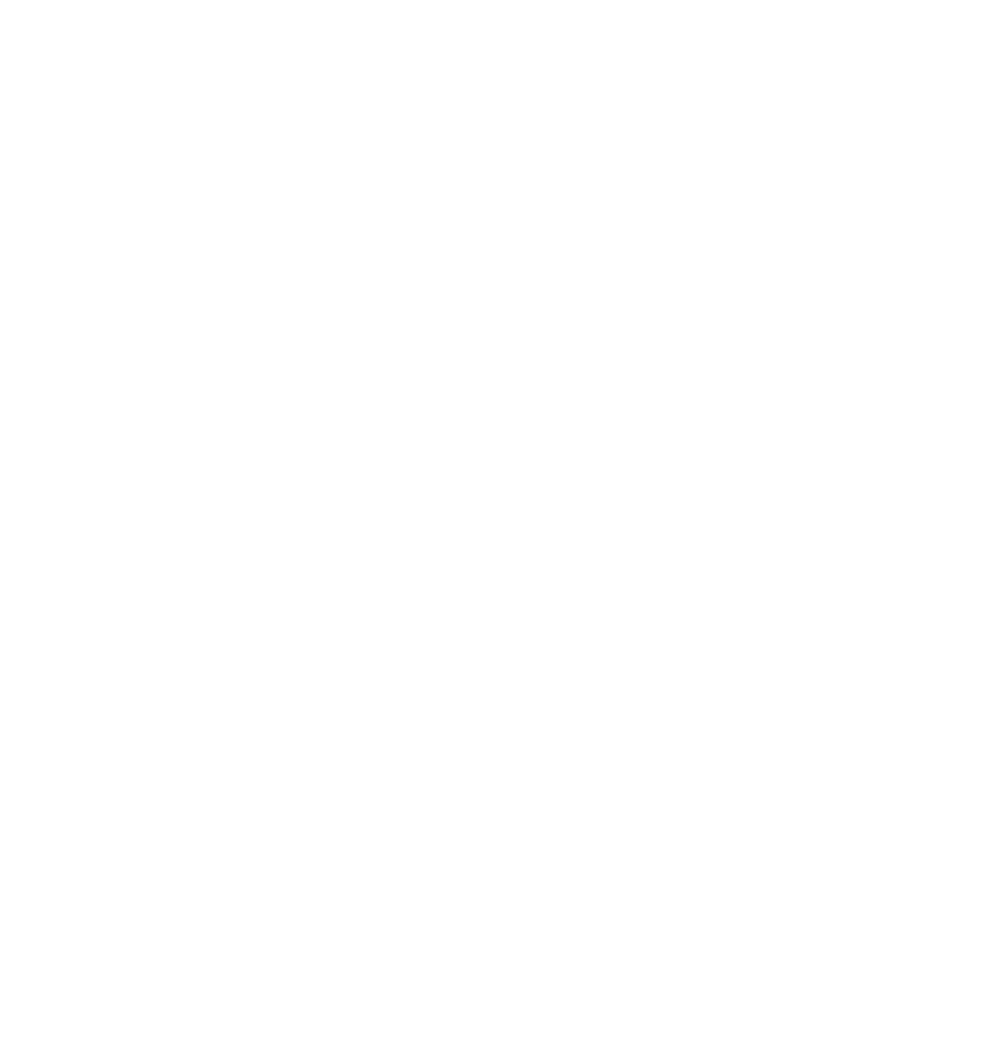 BigPicture8.png