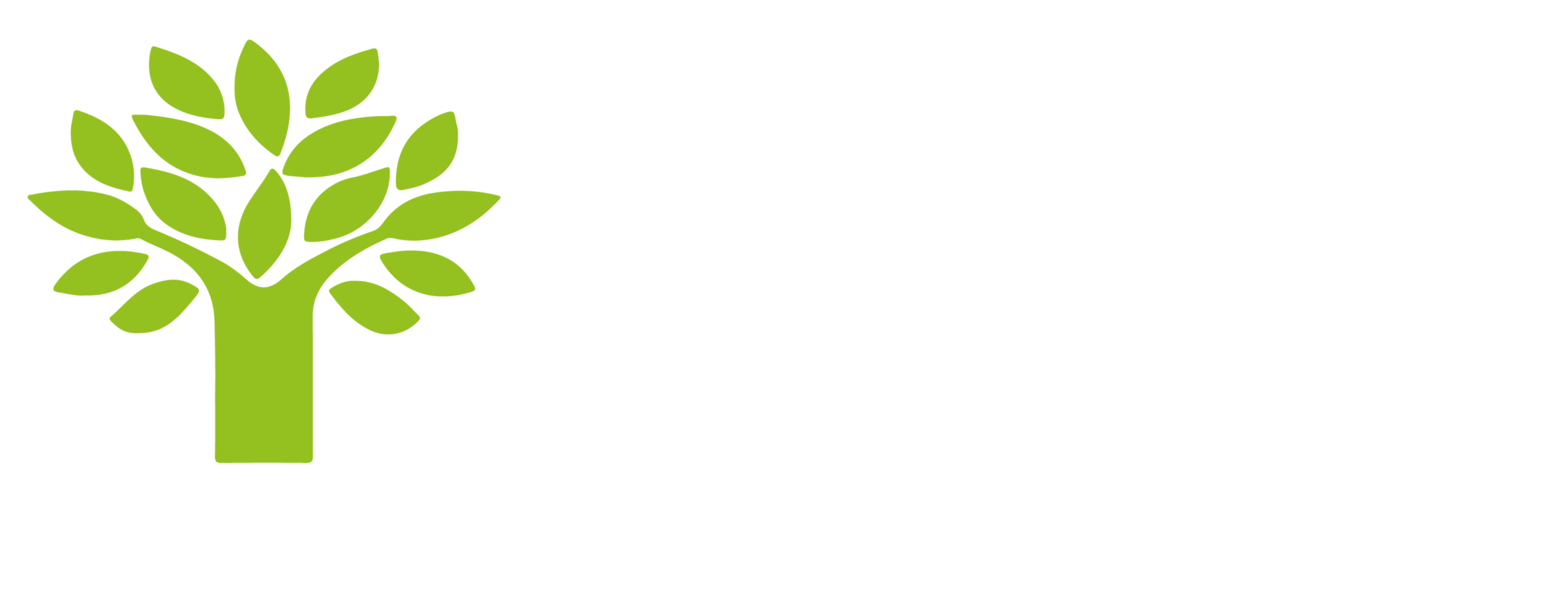 FIEC Logo White Text.png