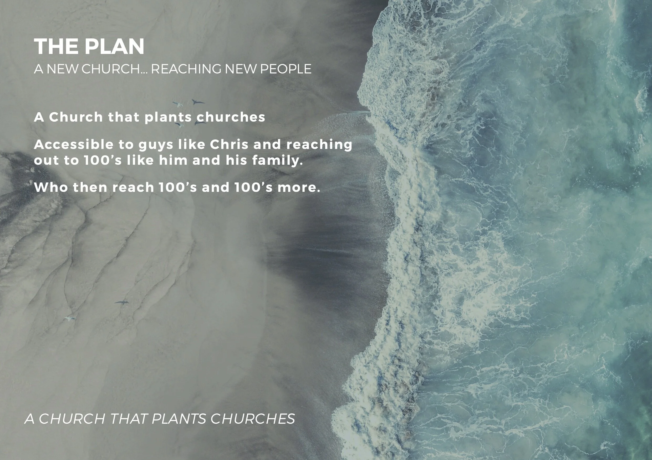 Coffs-church-plant5.jpg