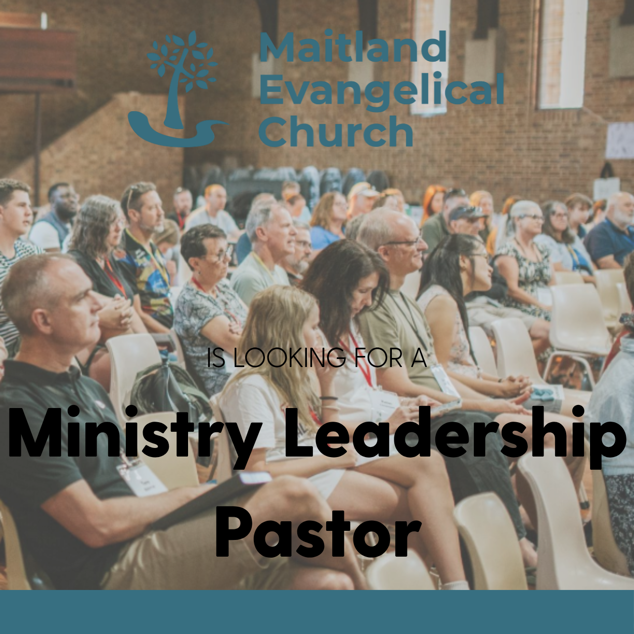 Maitland Evangelical Church - Ministry Leadership Pastor