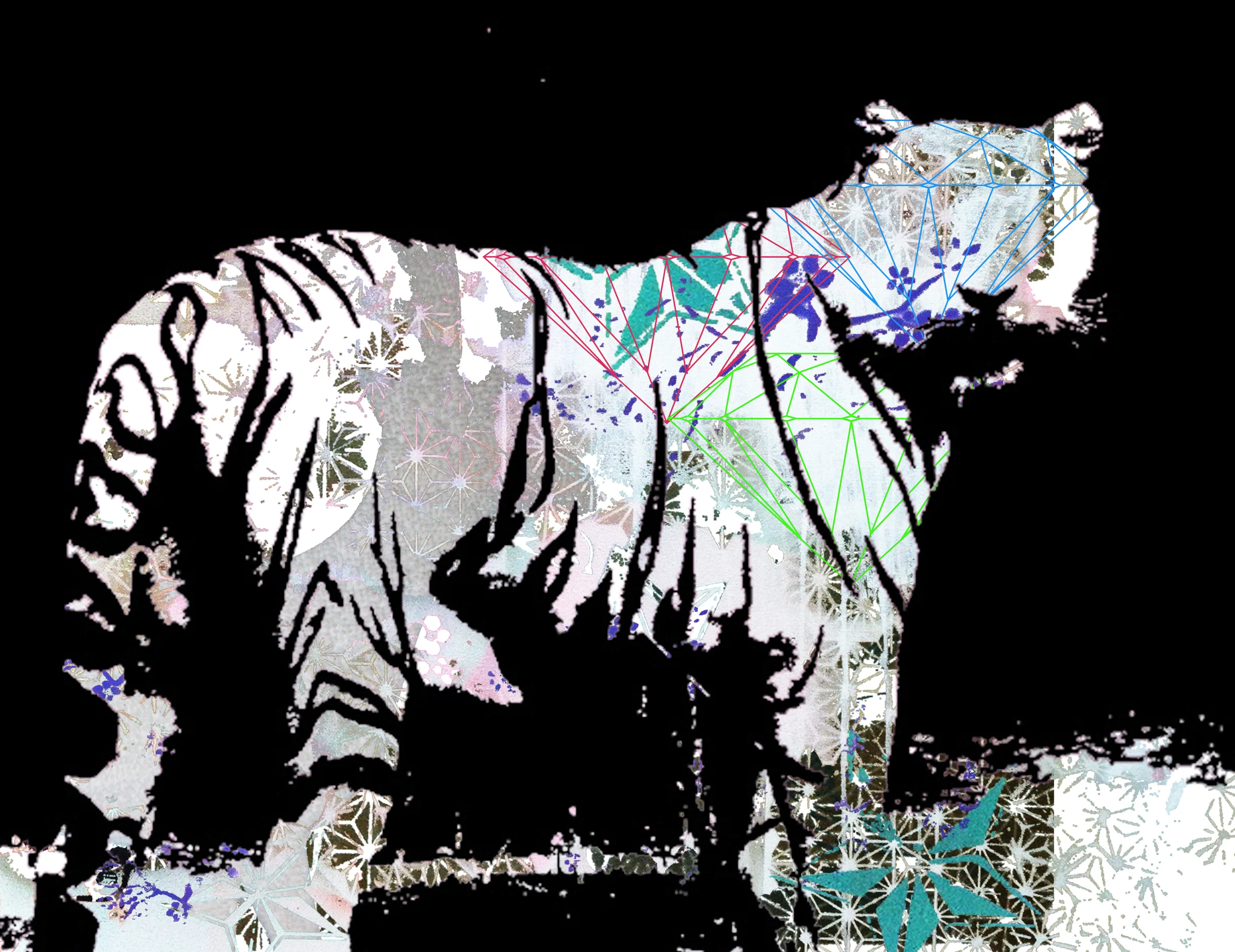 tiger circus.jpg
