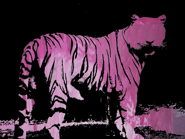 tiger.jpg