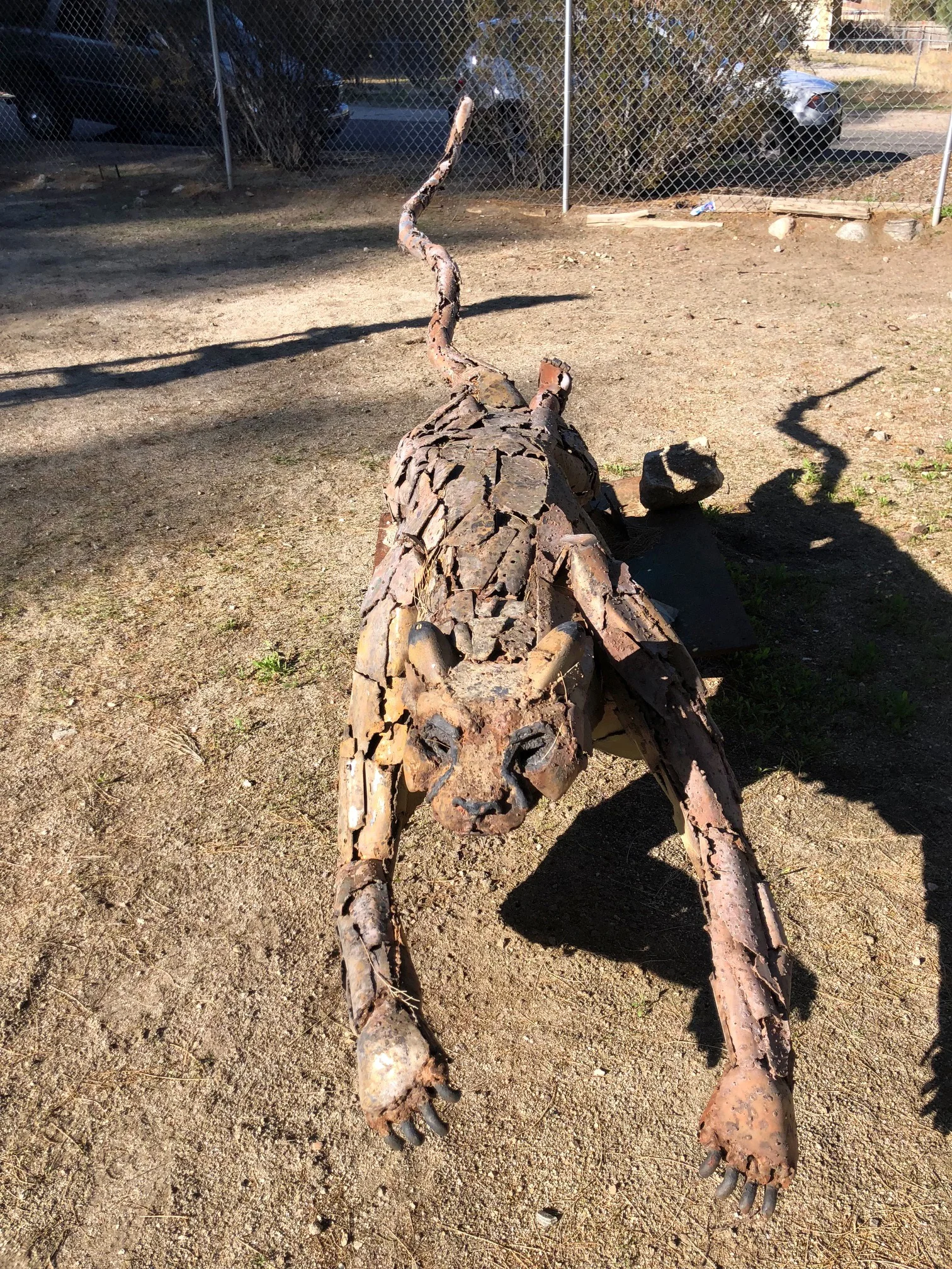Cheetah