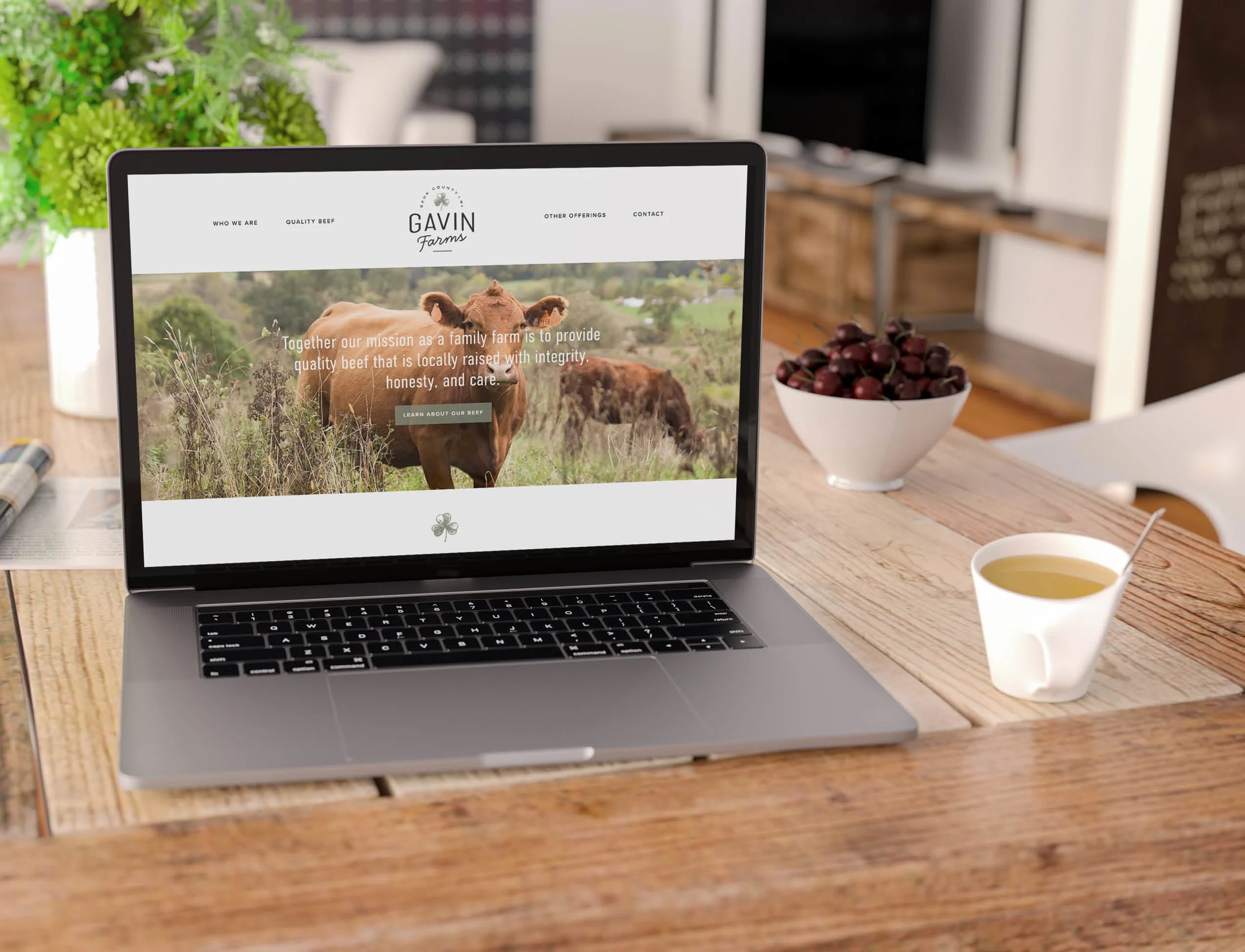 View full website here .