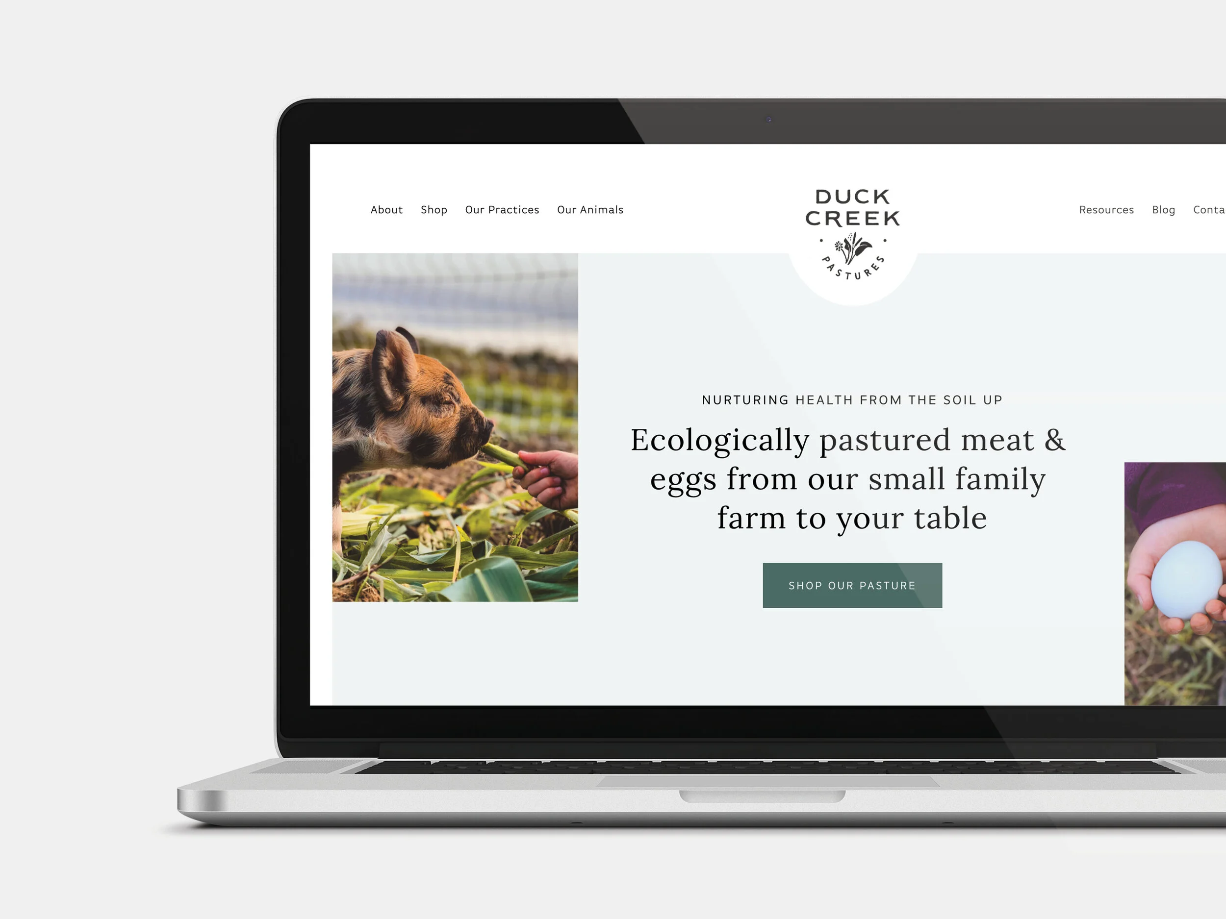 Duck Creek Pastures — REBEKAH DISCH DESIGN