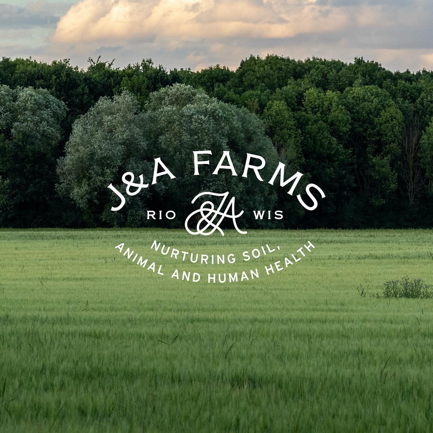 New branding work for @ja.farms 

John and Ashtyn are newlyweds who bought a farm in 2020, started raising and growing their herd of beef cows, and are living their dream of regenerative farming in Rio, Wisconsin. They really wanted to hit the ground