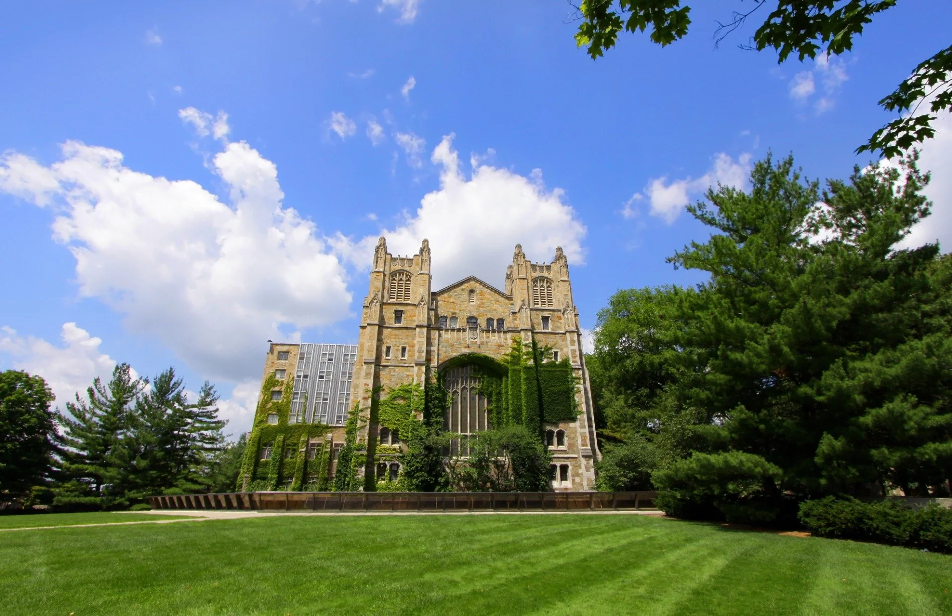 University of Michigan.jpg