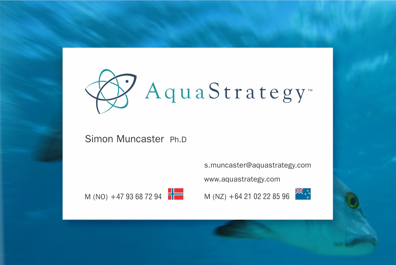 aqua_strategy_bc.jpg